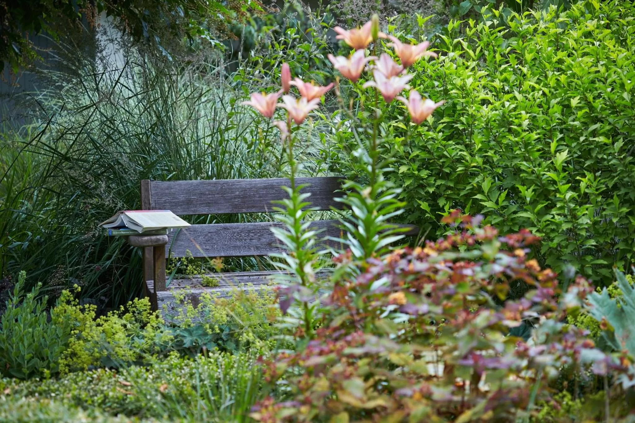 Garden, Patio/Outdoor Area in Hedgerow House