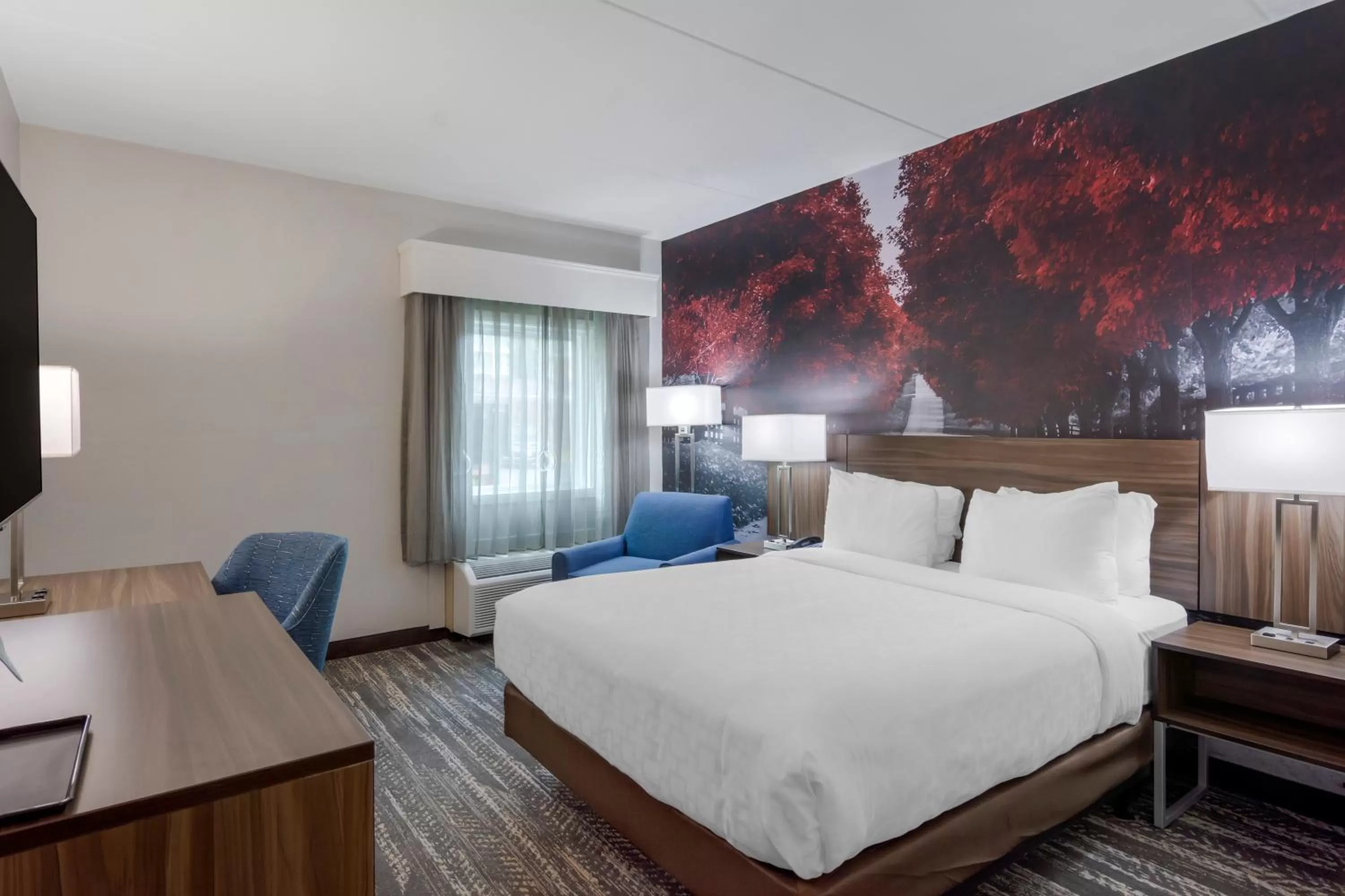 Photo of the whole room, Bed in Clarion Pointe Charlottesville