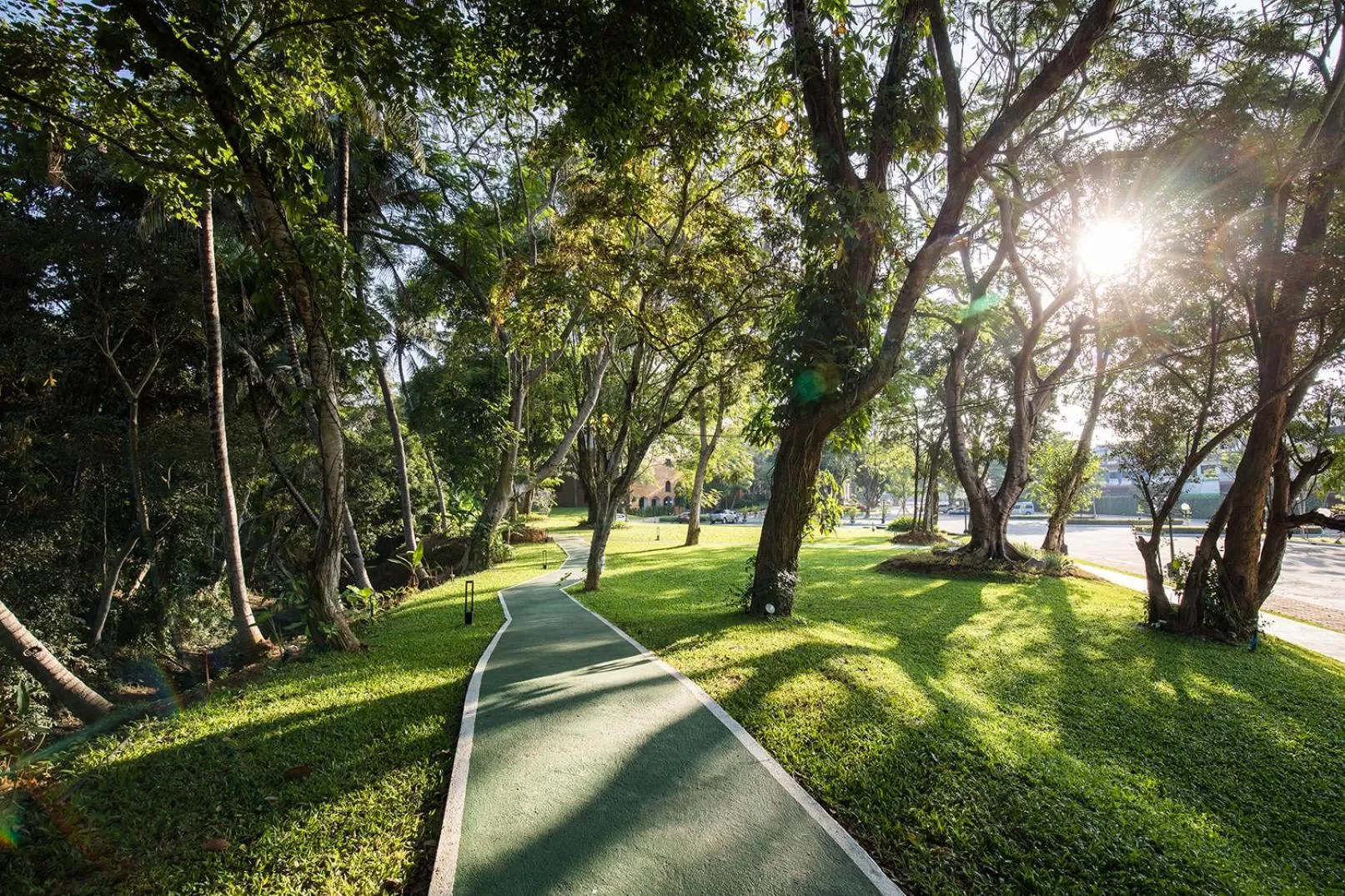 Garden in The Heritage Chiang Rai Hotel and Convention