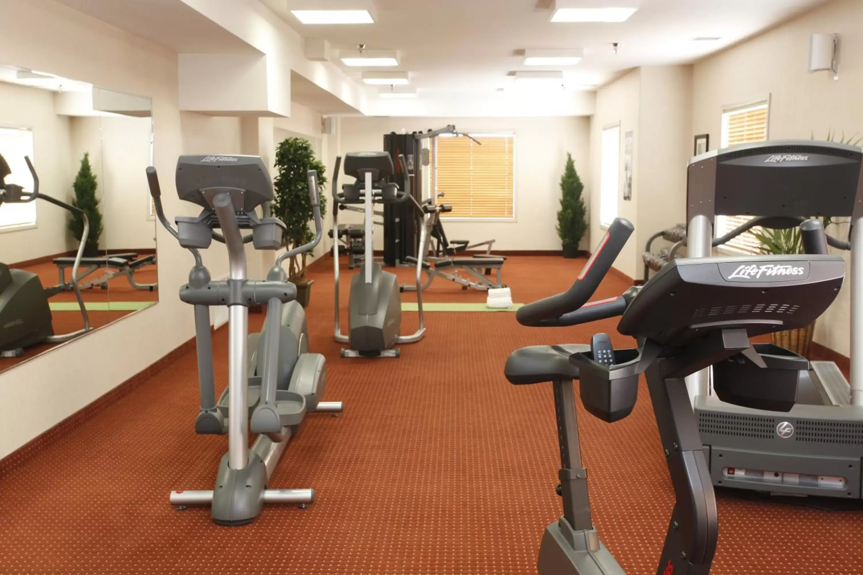 Fitness centre/facilities, Fitness Center/Facilities in Pomeroy Inn and Suites Dawson Creek