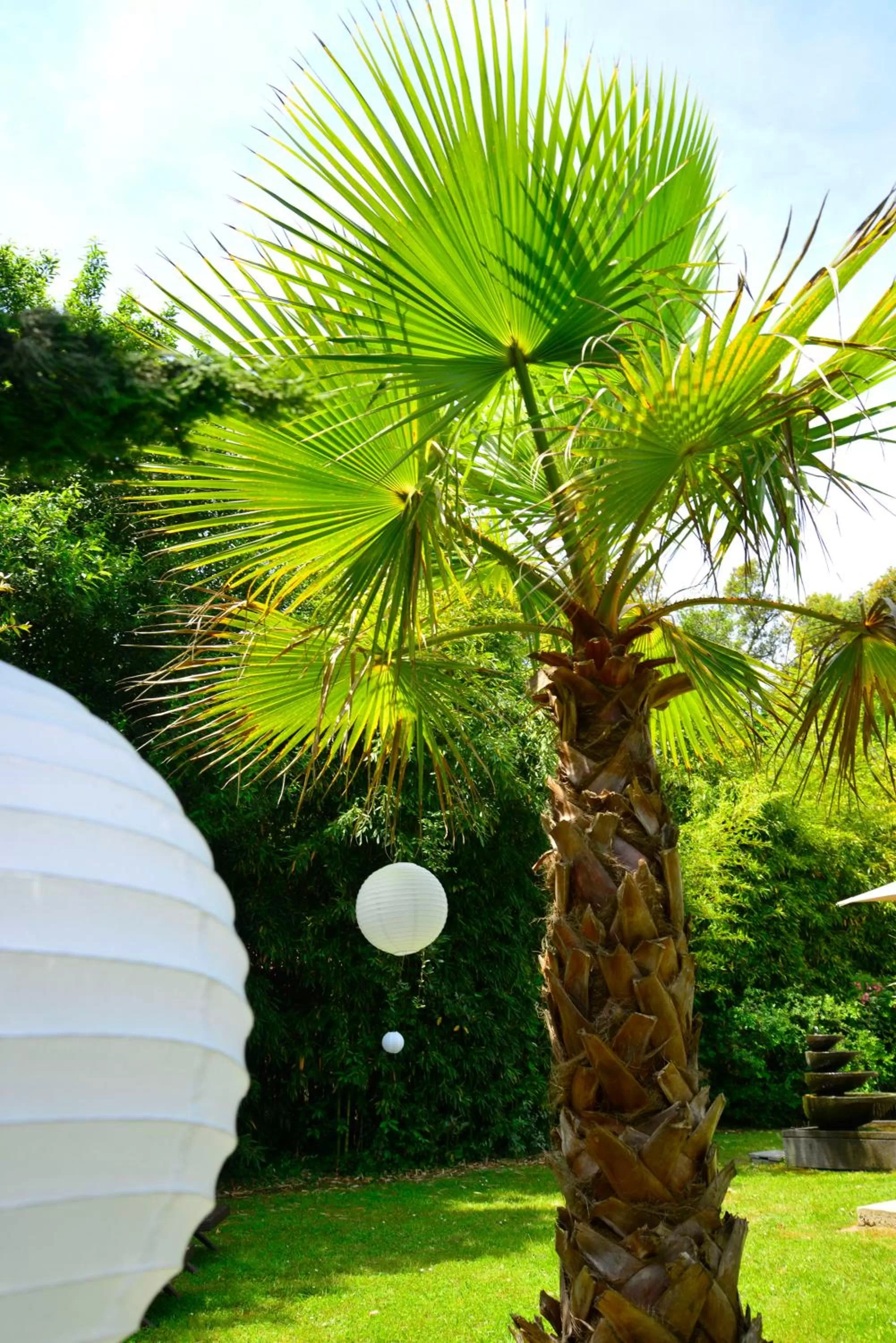 Day in The Originals City, Hôtel Le Lodge, Ondres, Bayonne Nord