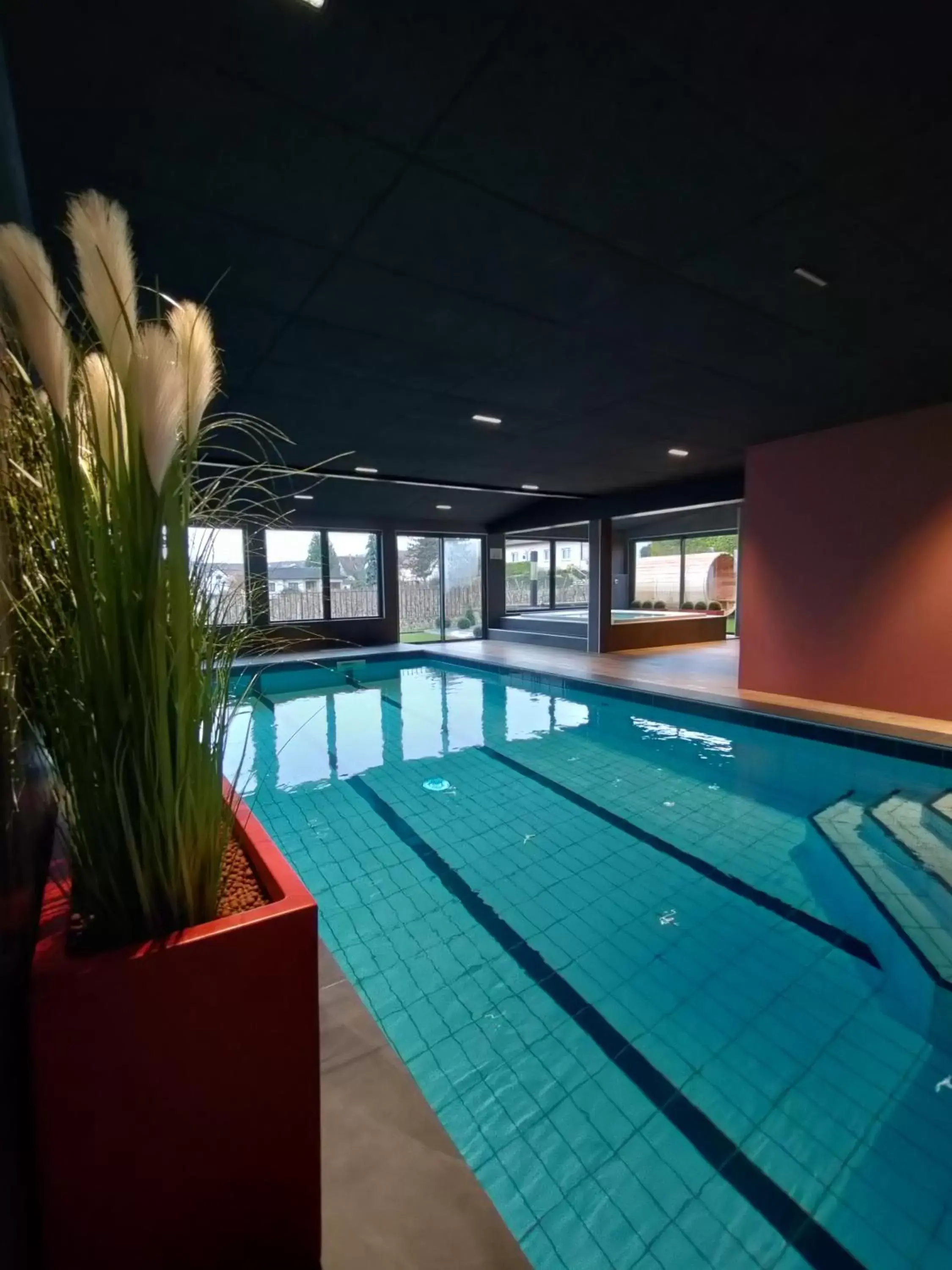 Spa and wellness centre/facilities, Swimming Pool in James Vignoble Hôtel, Eguisheim