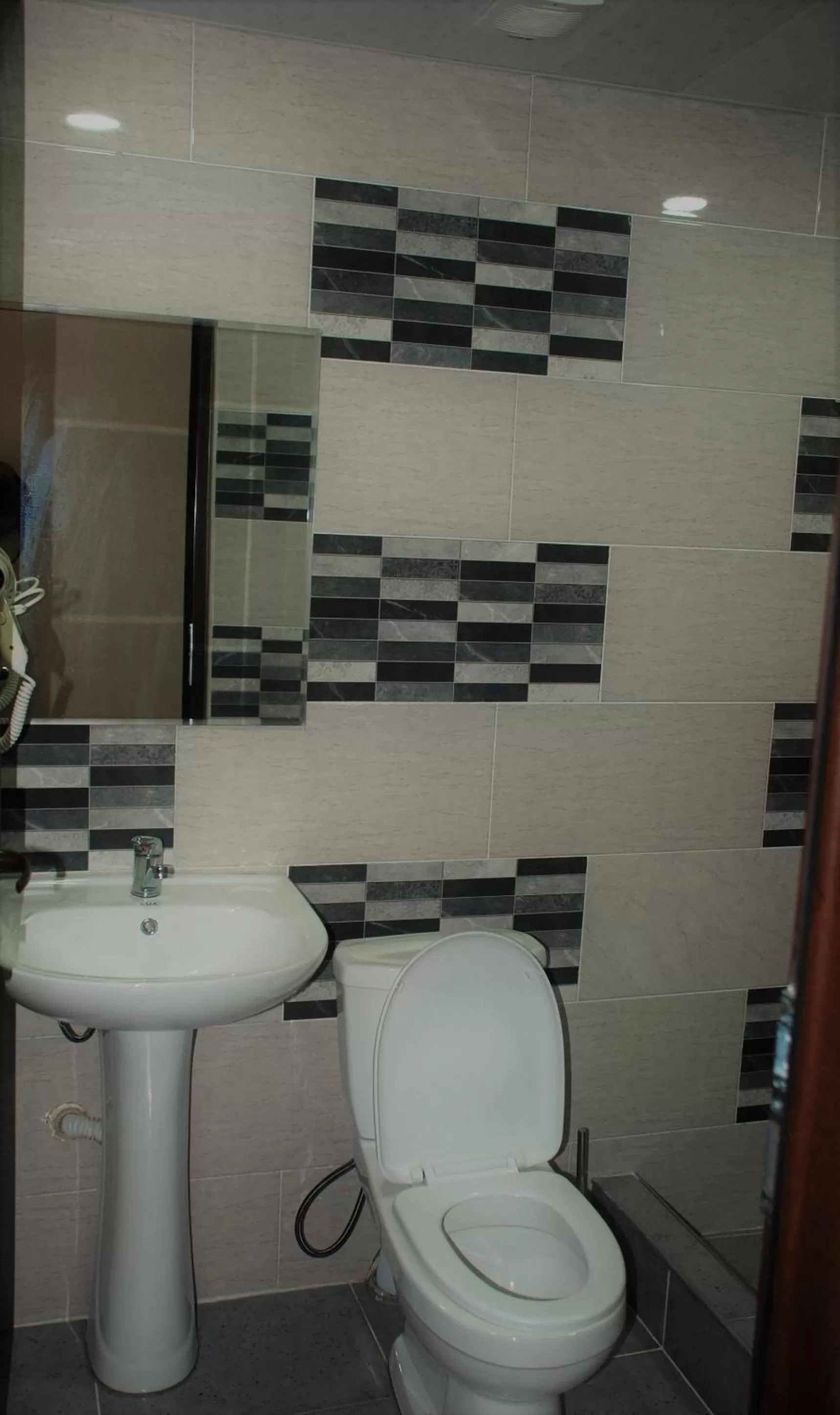 Toilet, Bathroom in Hotel Shgedi Mestia