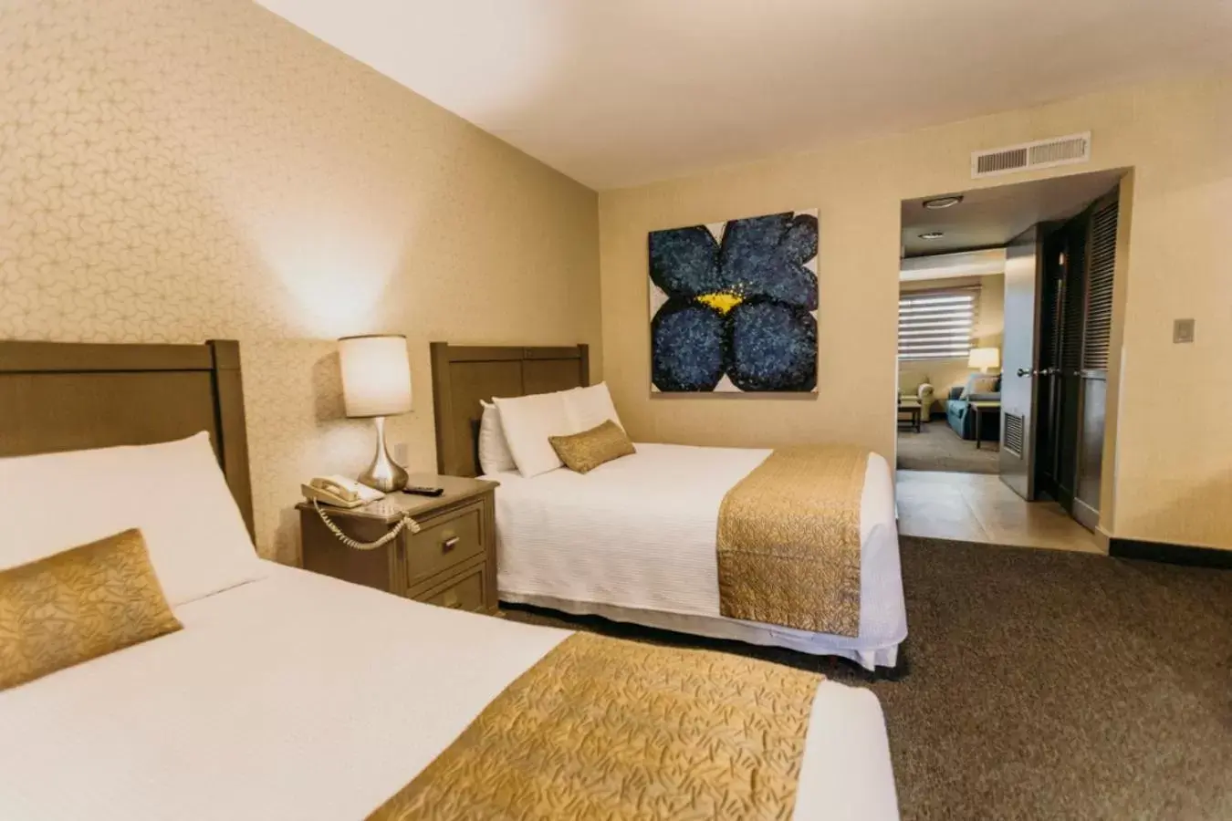 Double Room in Hotel Araiza Mexicali