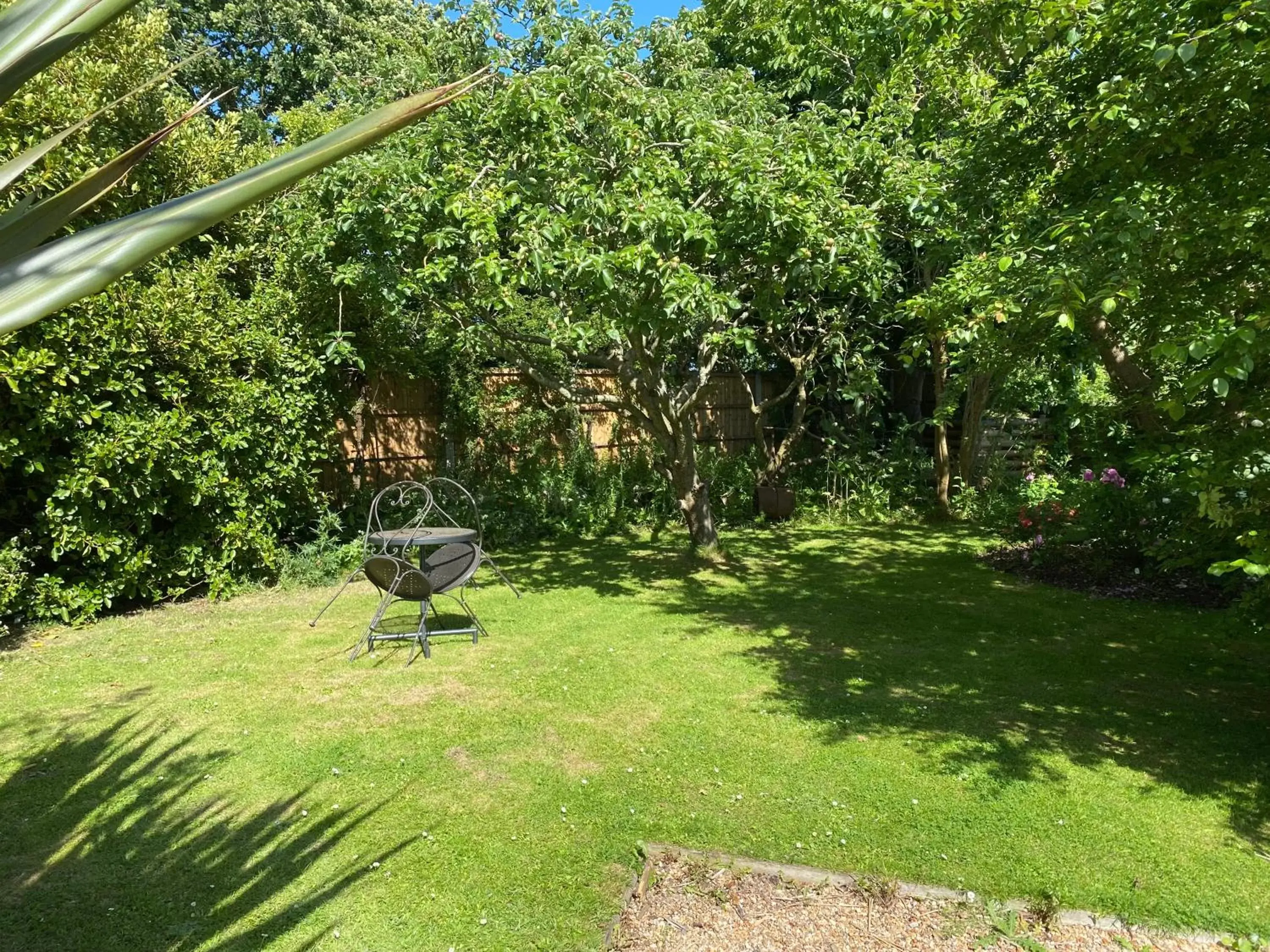 Garden in Old Chapel Forge