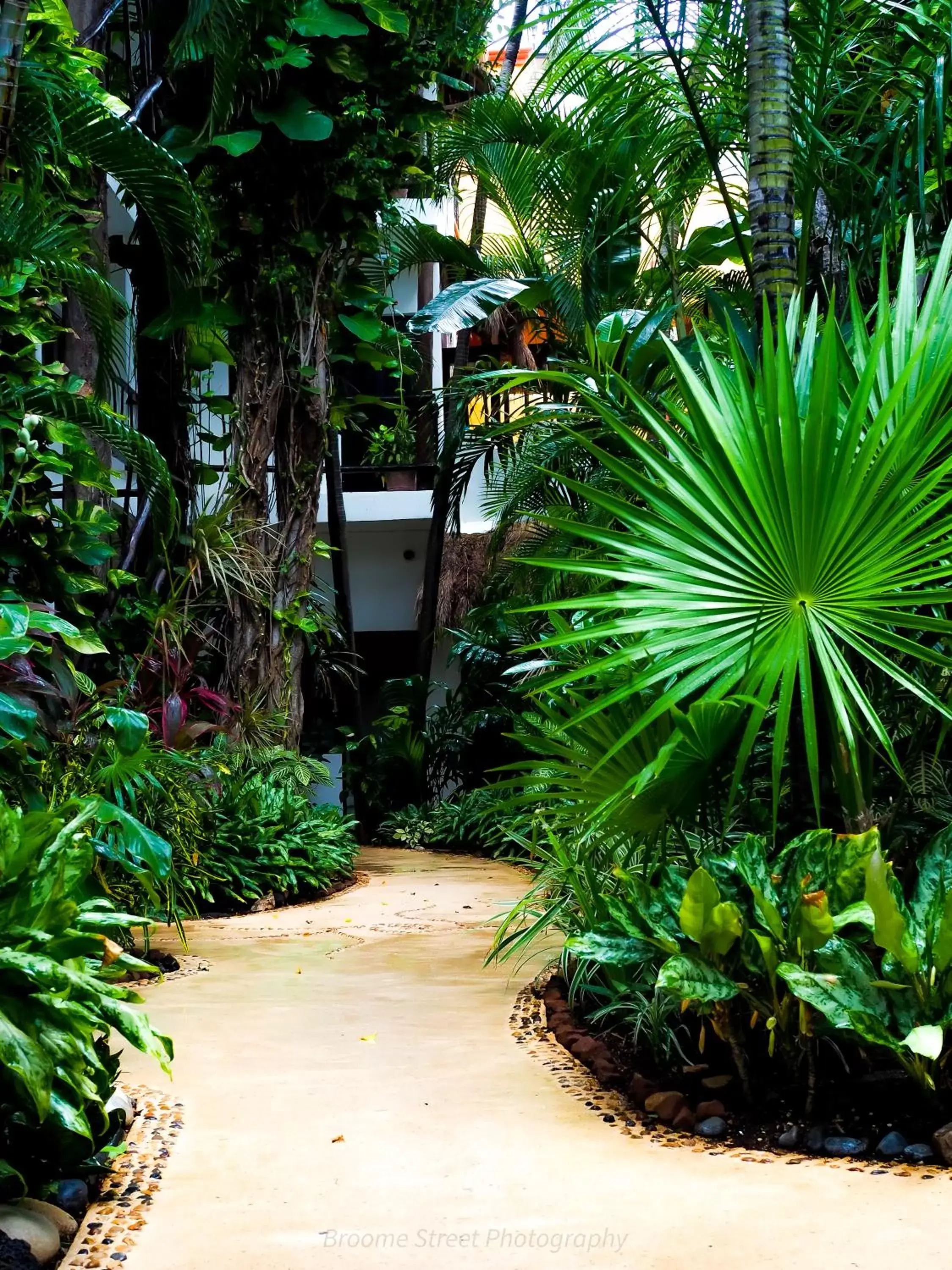 Garden in Hotel Kinbe