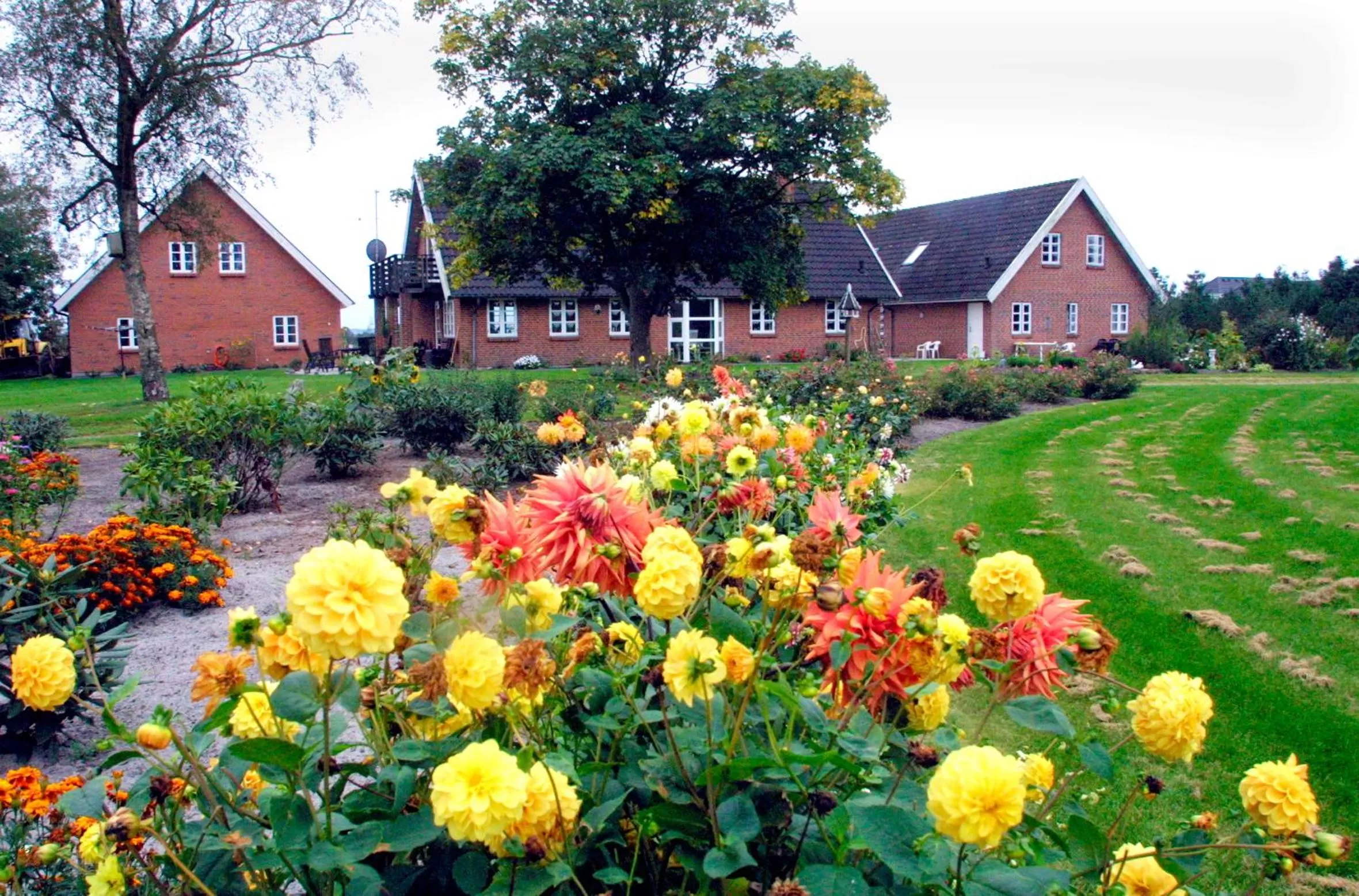 Garden in Give Bed & Breakfast