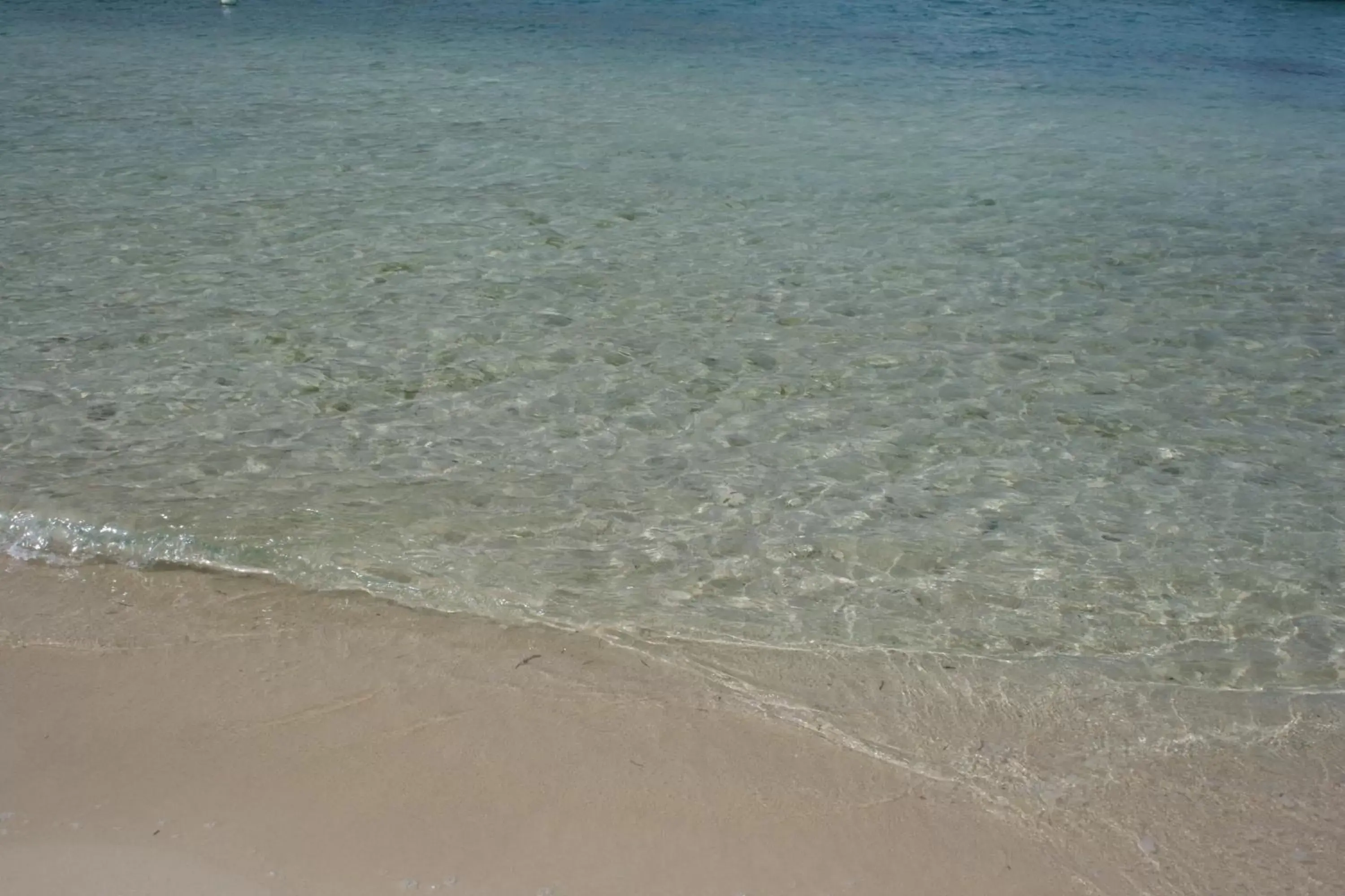 Beach in Hotel on the Cay