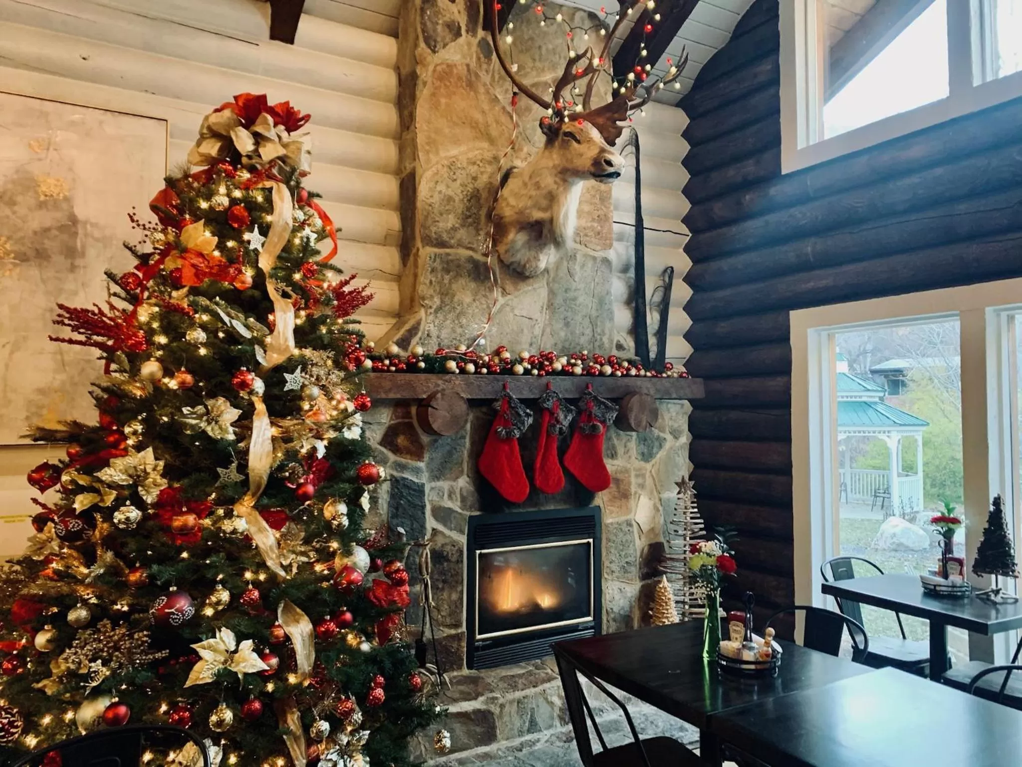 Restaurant/places to eat in Alaskan Inn and Spa