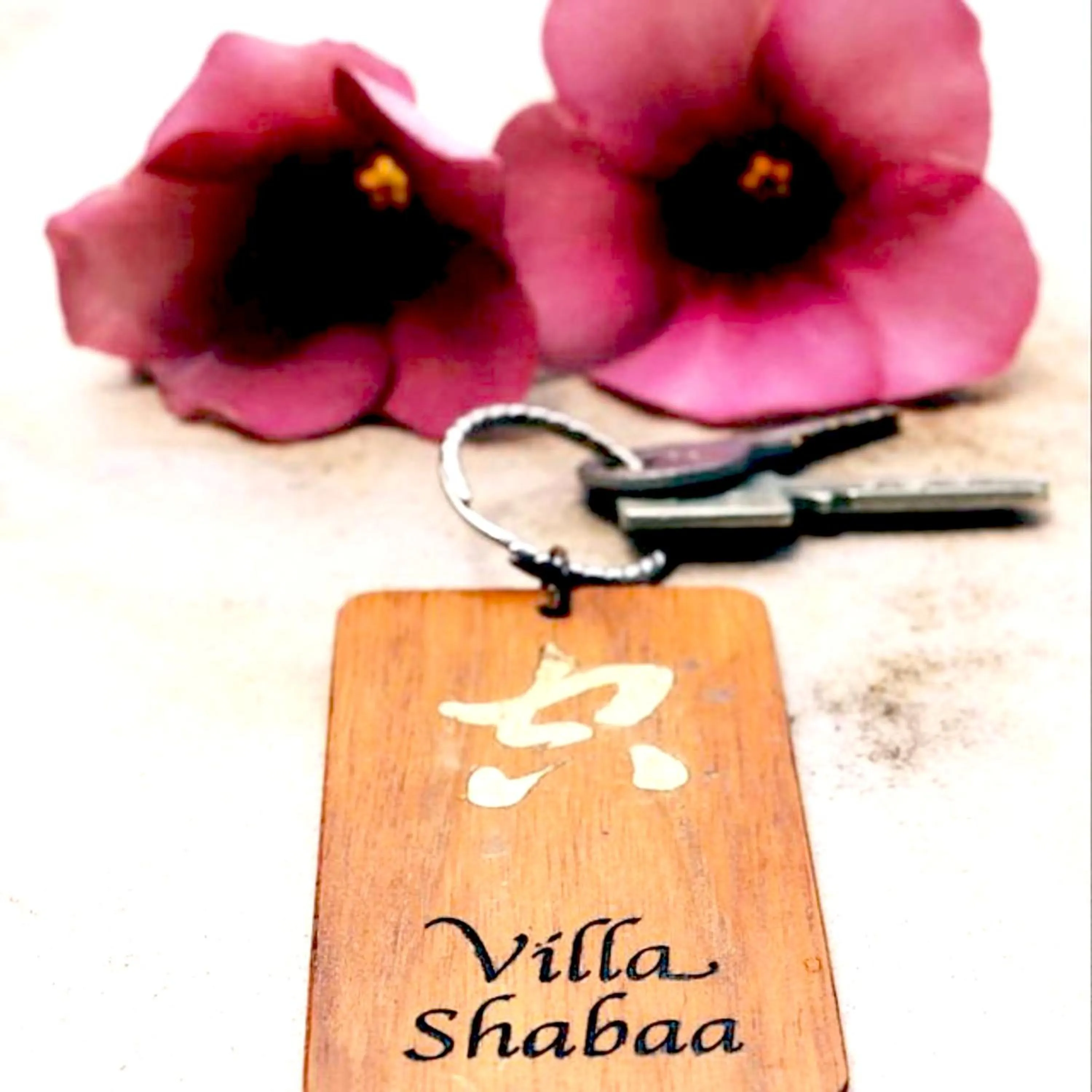 Property logo or sign in Alanta Pool Villa