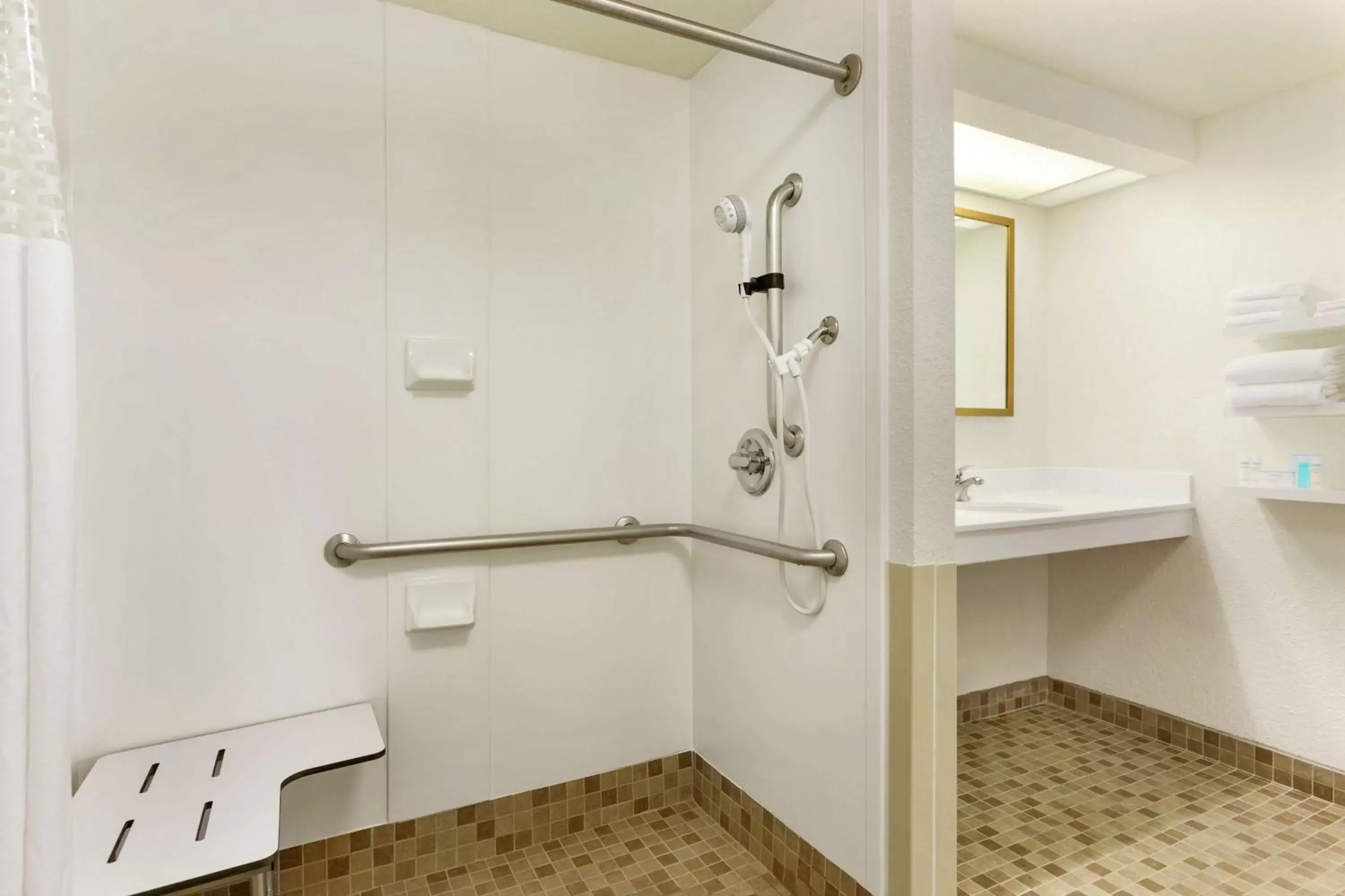 Bathroom in Hampton Inn & Suites Tarpon Springs