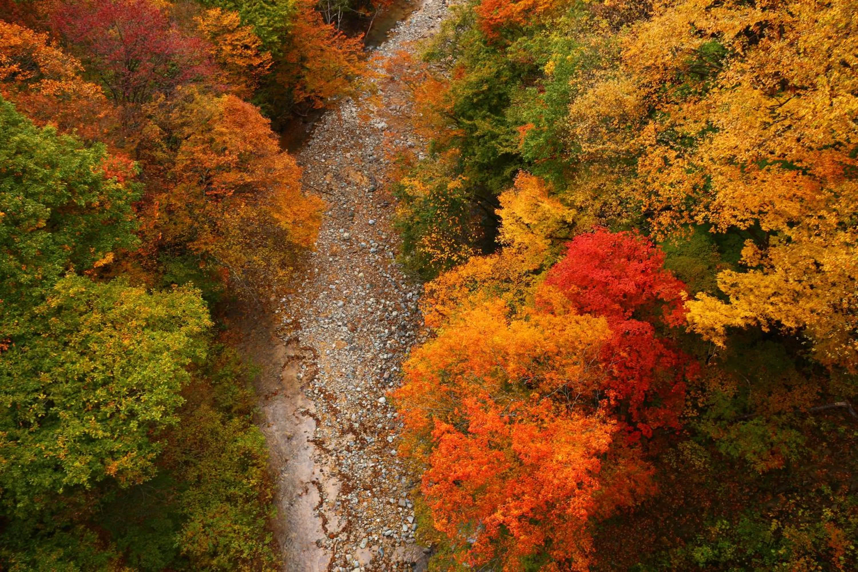 Nearby landmark in Ryokan Warabino