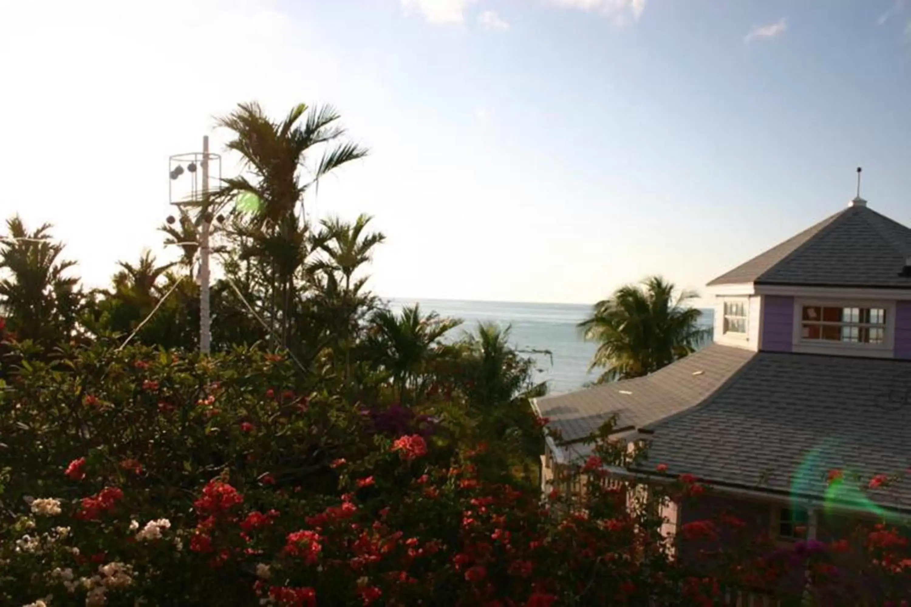 View (from property/room) in Orange Hill Beach Inn