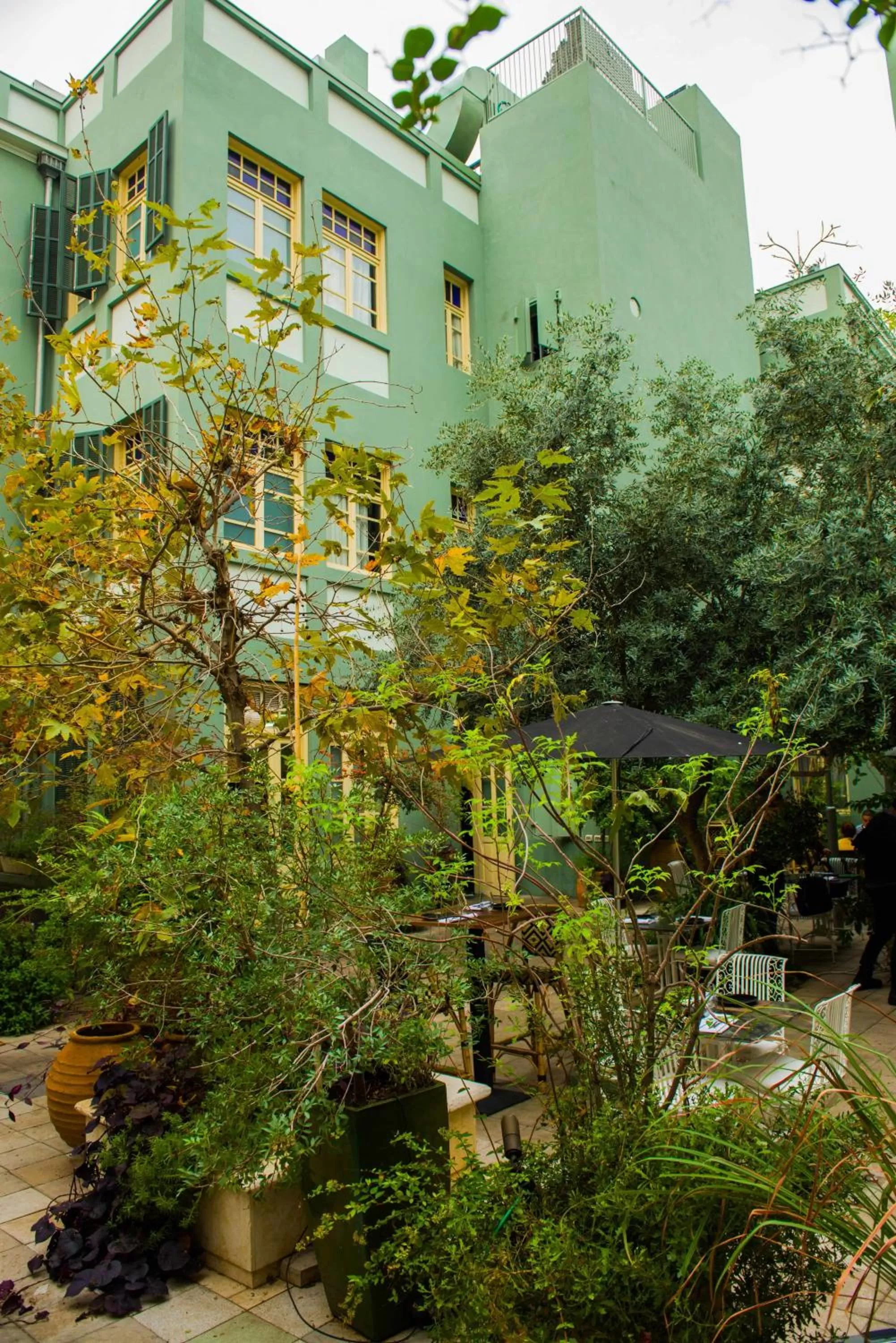 Garden in Alma Boutique Hotel & Lounge