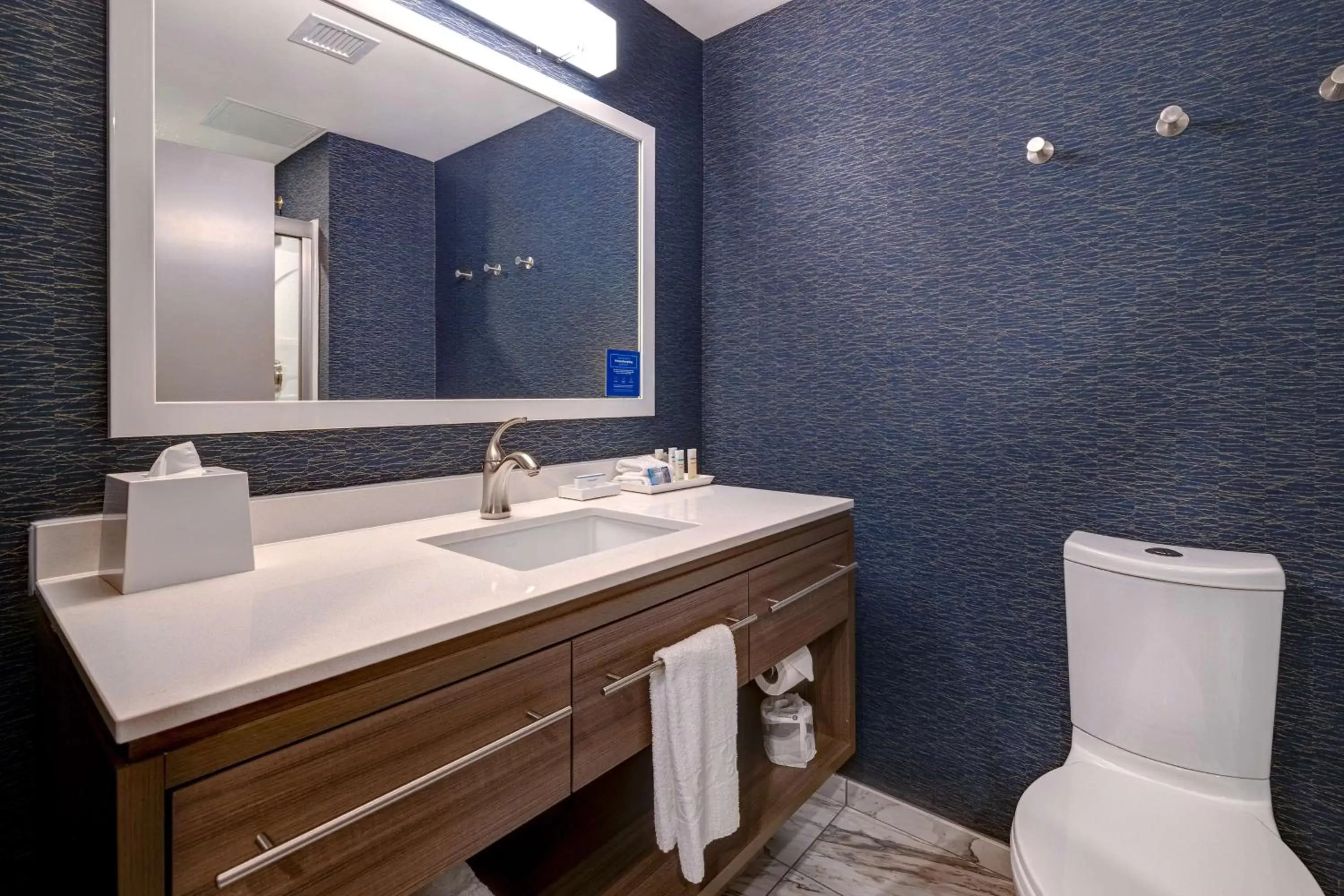 Bathroom in Home2 Suites By Hilton Nashville Downtown-Metrocenter