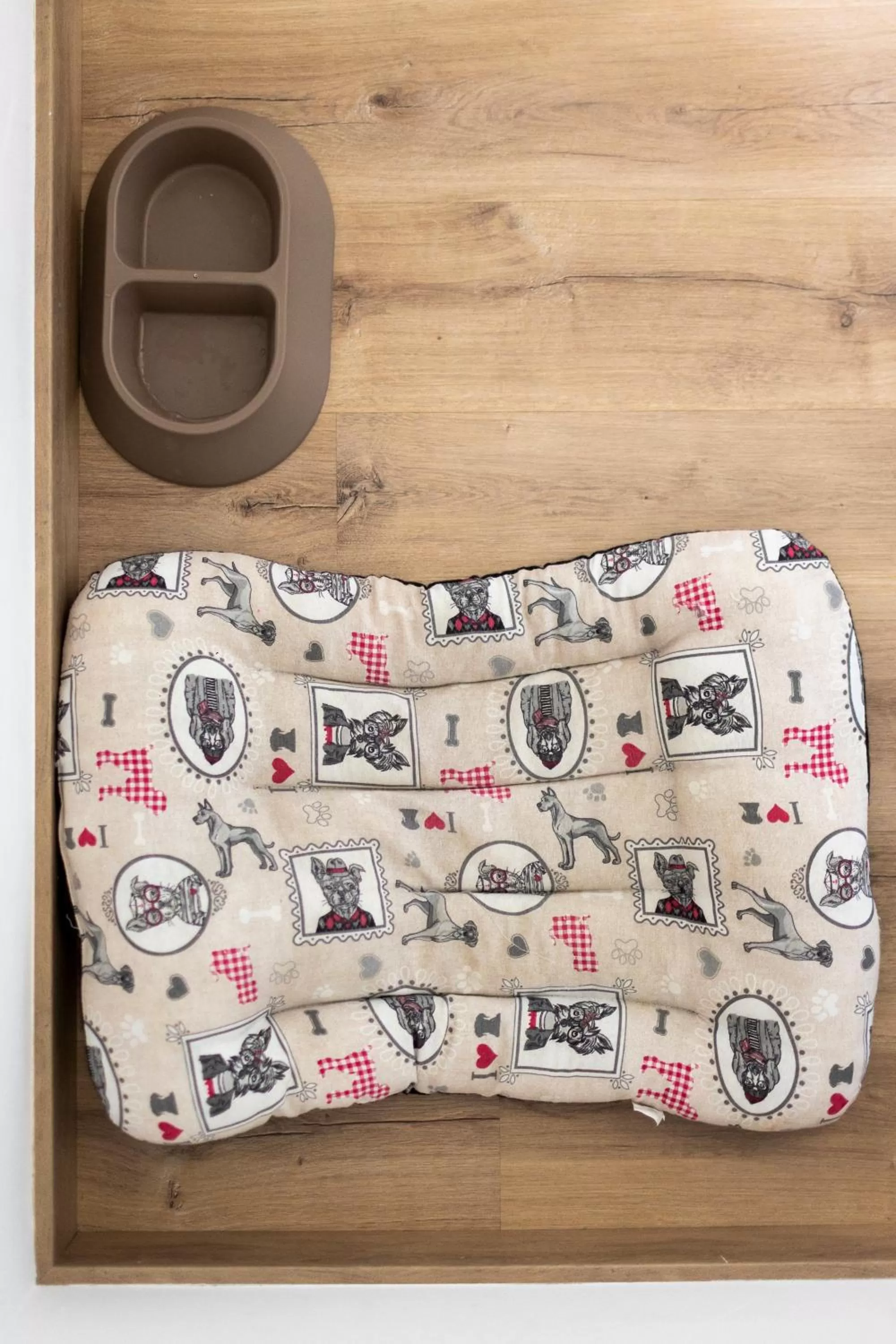 Pets in Hotel Alfonso I