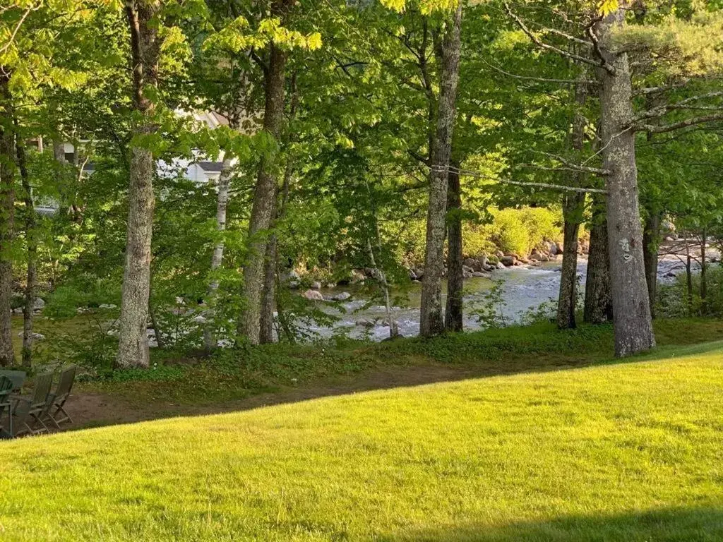 Natural landscape, Garden in The Lodge at Jackson Village