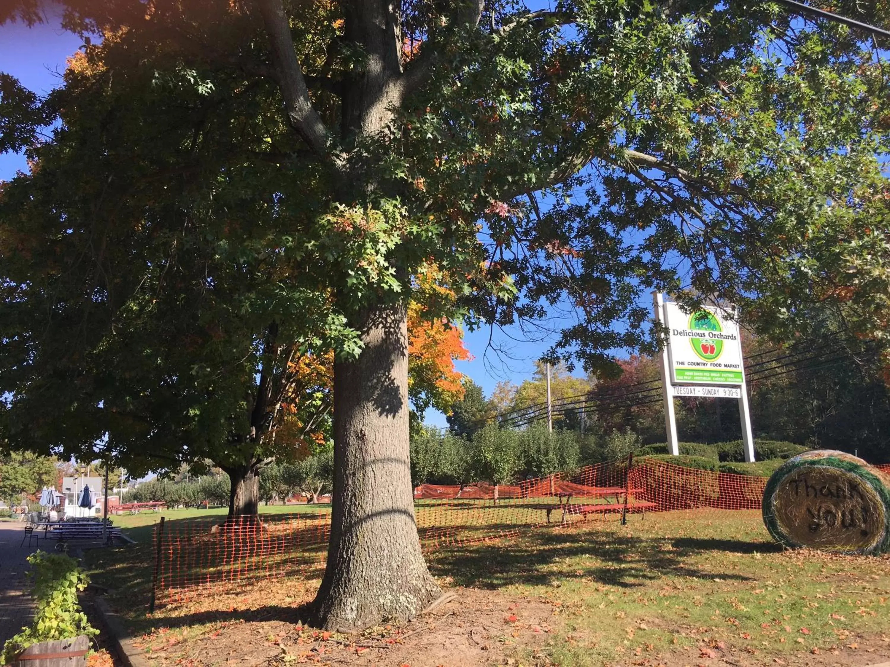 Area and facilities, Garden in Colts Neck Inn Hotel