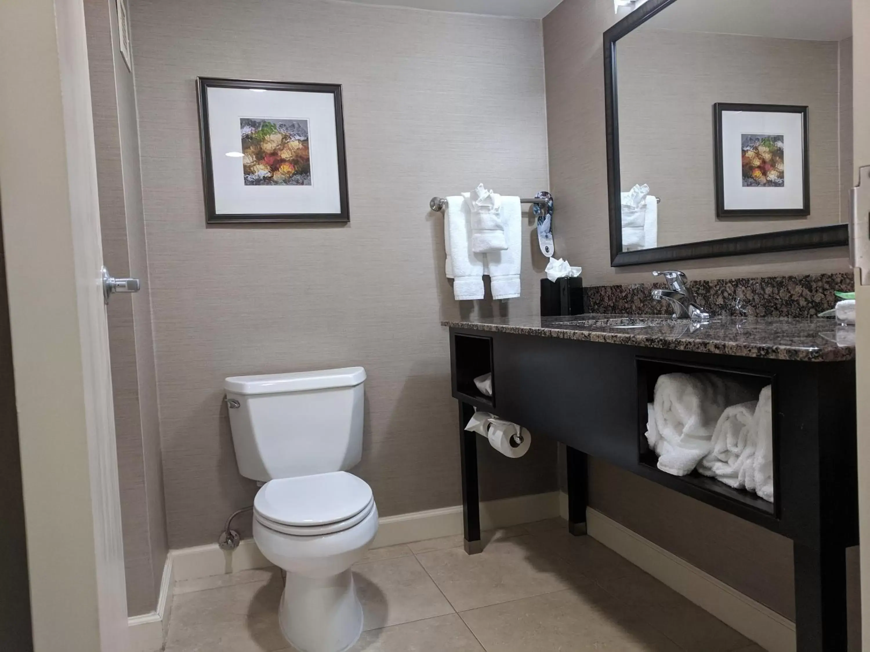Photo of the whole room, Bathroom in Holiday Inn Charlotte University, an IHG Hotel