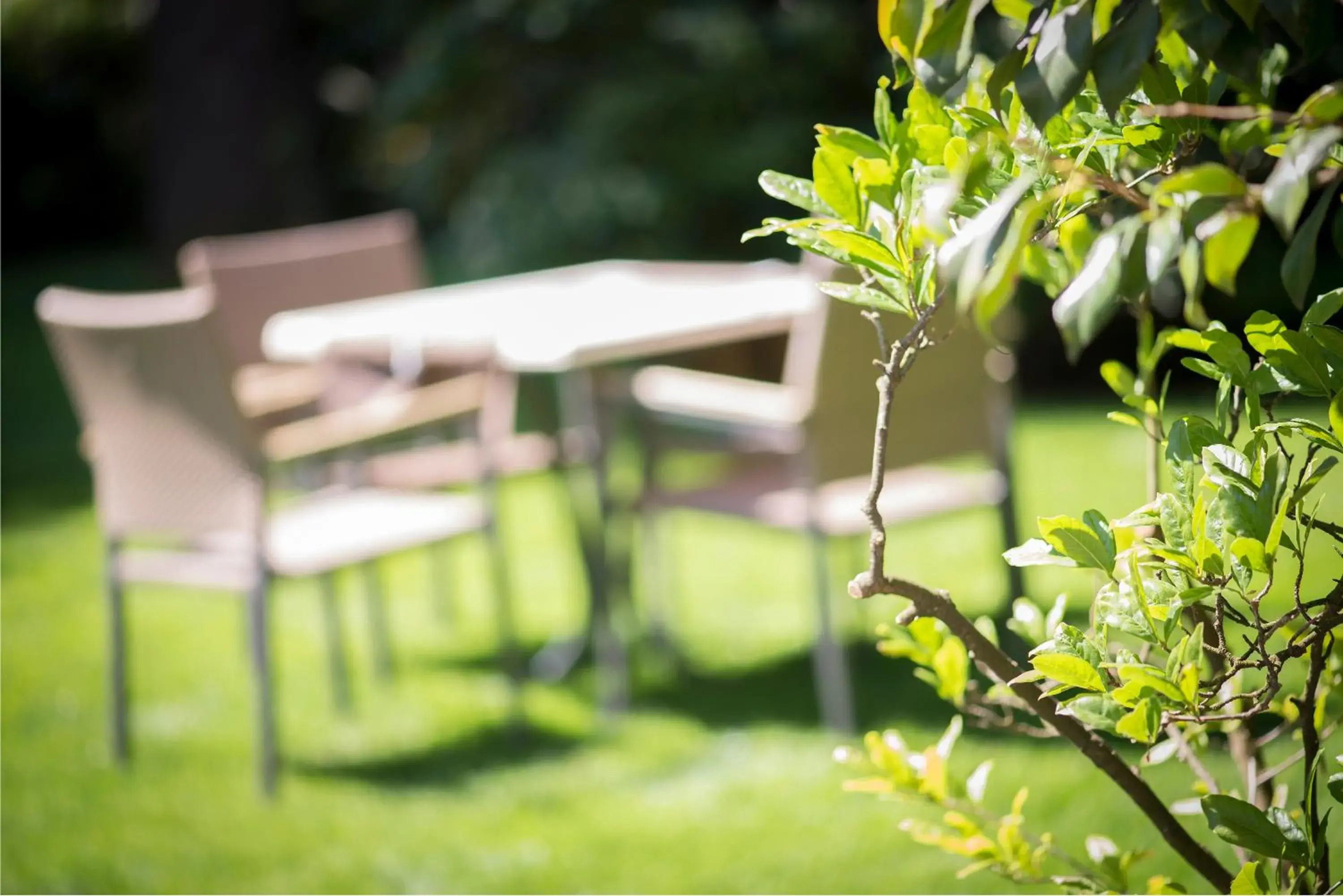 Garden in Hotel Sonnenhof