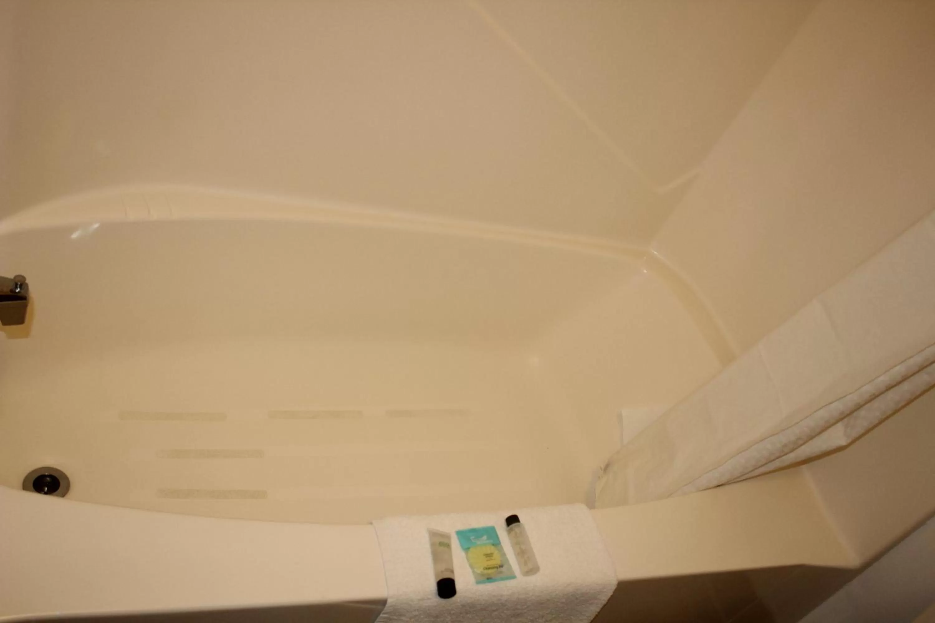 Bathroom in Rodeway Inn Gateway to Medora T-Roosevelt & Makoshika State Park