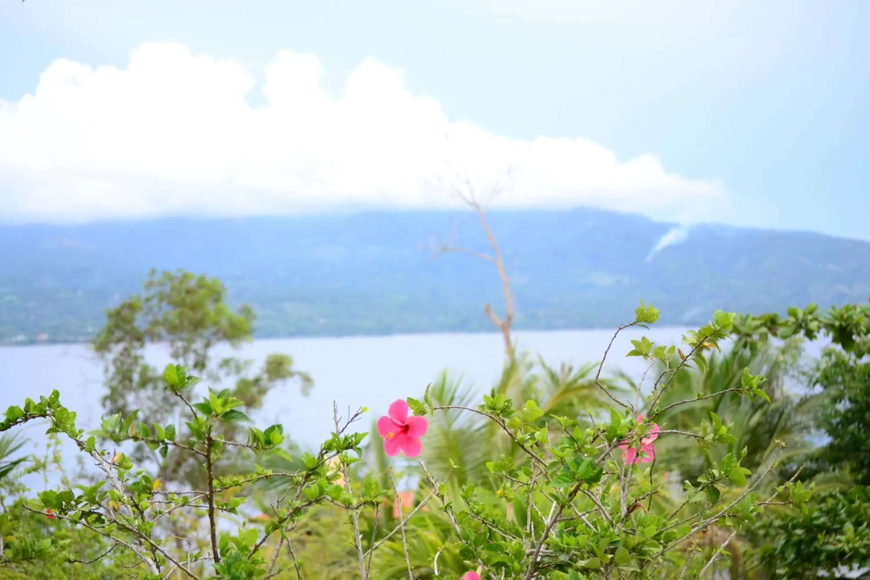 View (from property/room) in Eden Resort View (from property/room) in Eden Resort