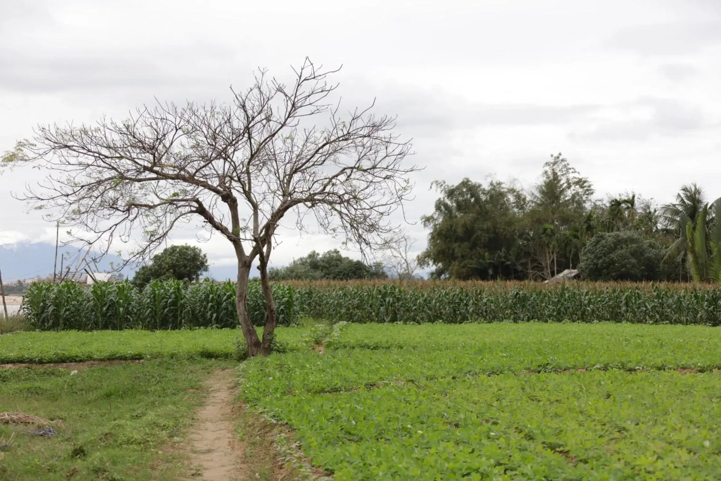 Nearby landmark in Riverside Hamlet Homestay & Villa