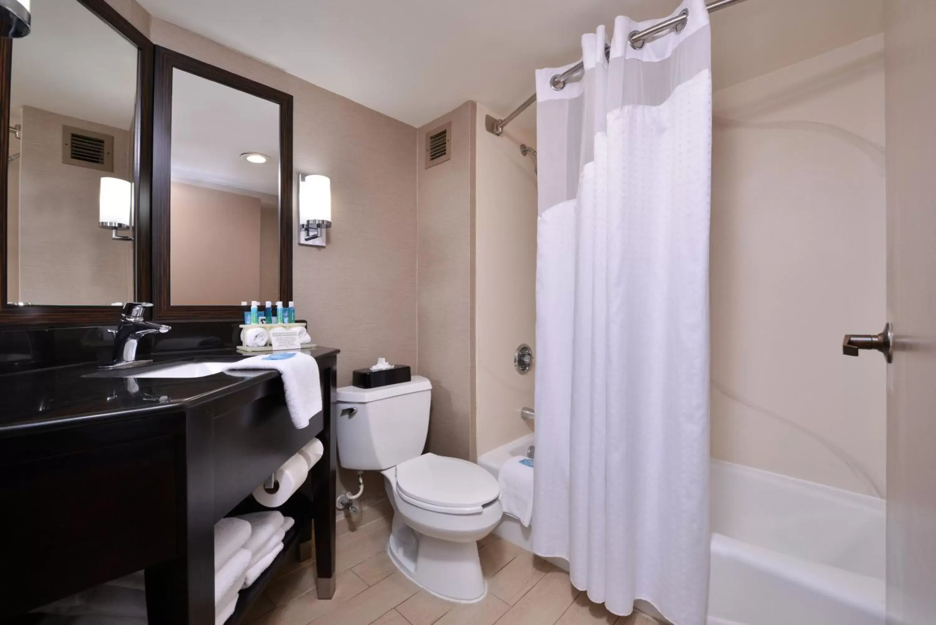 Bathroom in Holiday Inn Express Burlington, an IHG Hotel