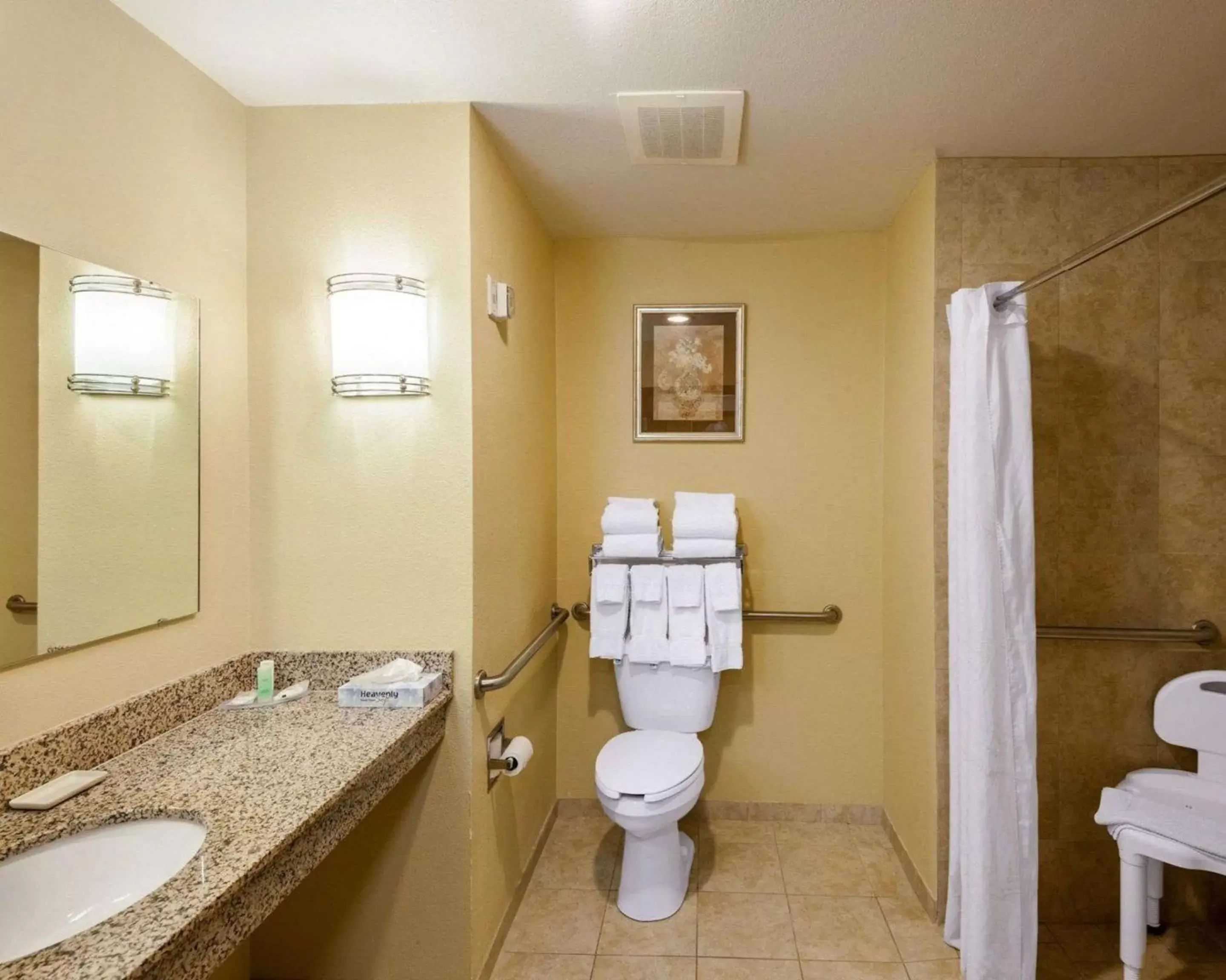 Bathroom in Comfort Inn & Suites Regional Medical Center