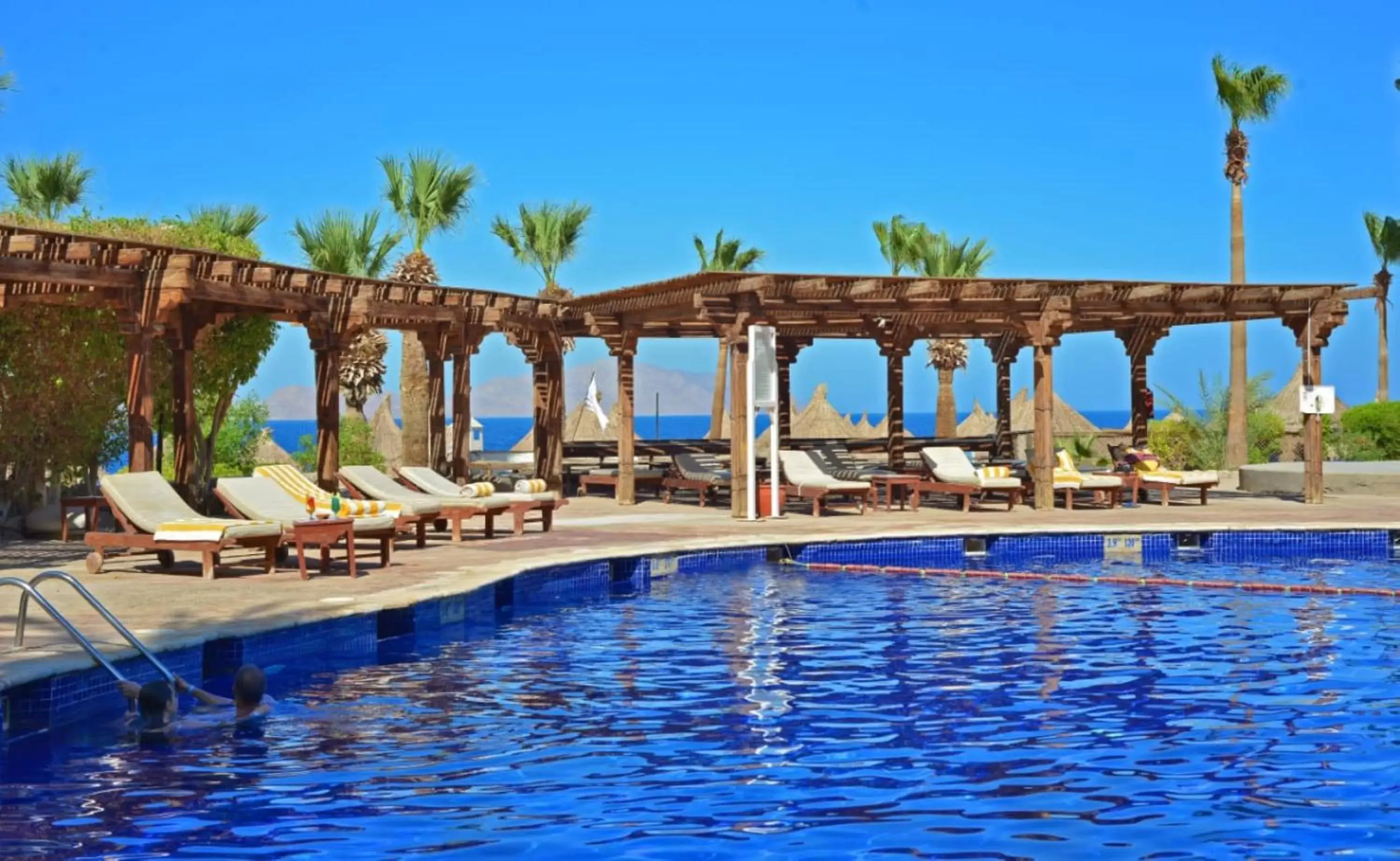 Diving, Swimming Pool in Sheraton Sharm Hotel, Resort, Villas & Spa
