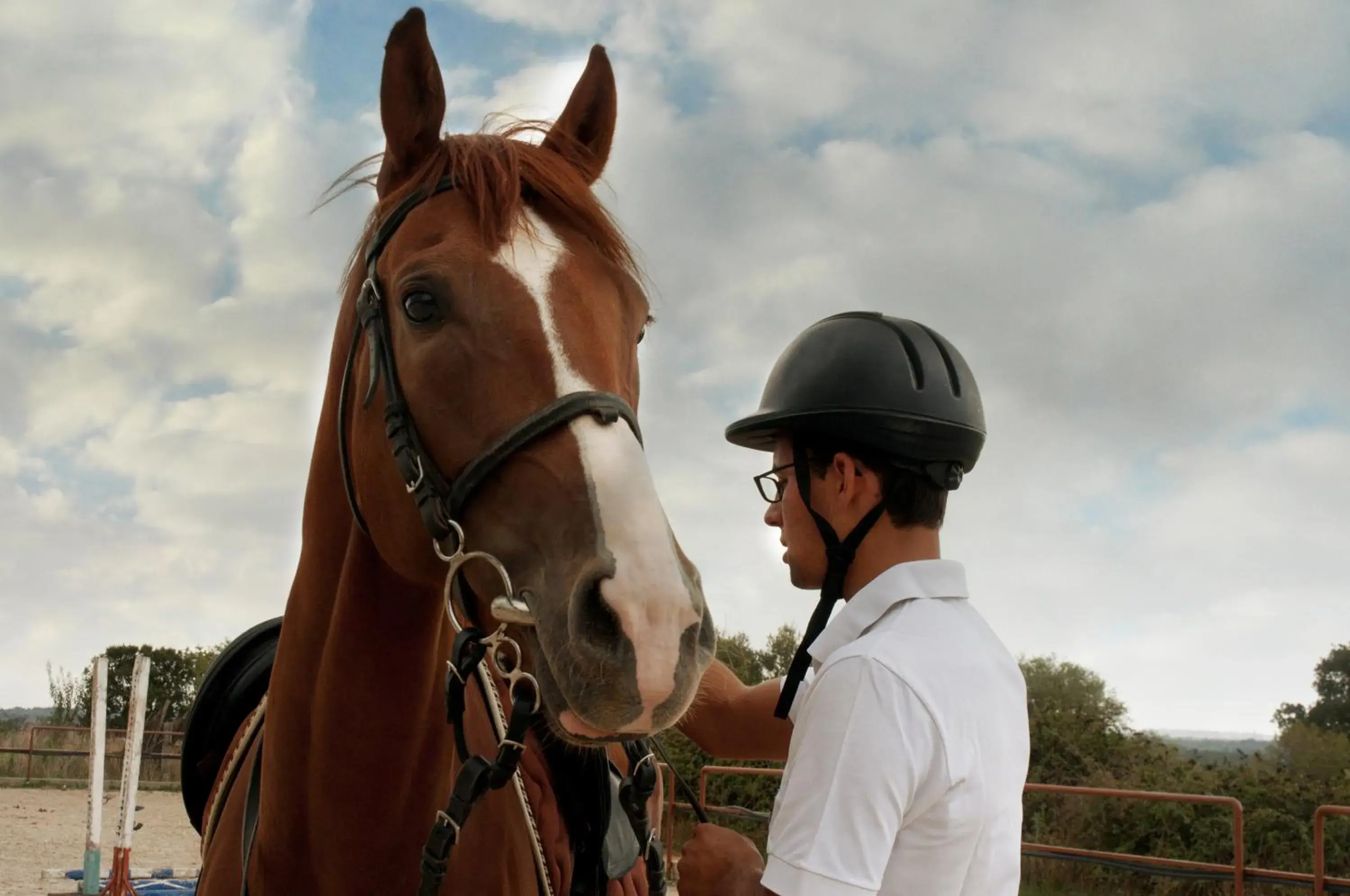 Horse-riding, Horseback Riding in Agriturismo Fasano