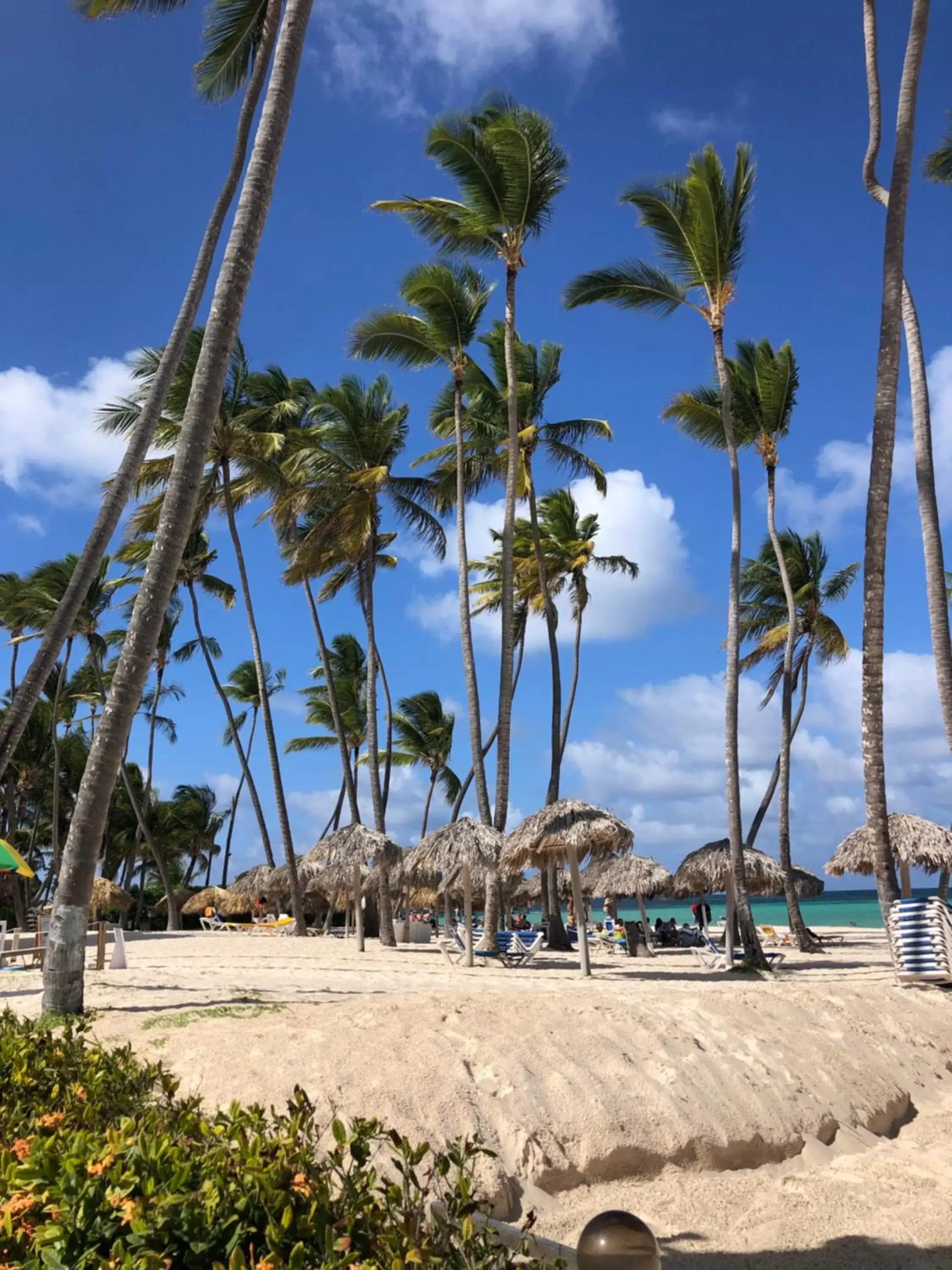 Beach in Los Corales Luxury Villas Beach Club and Spa