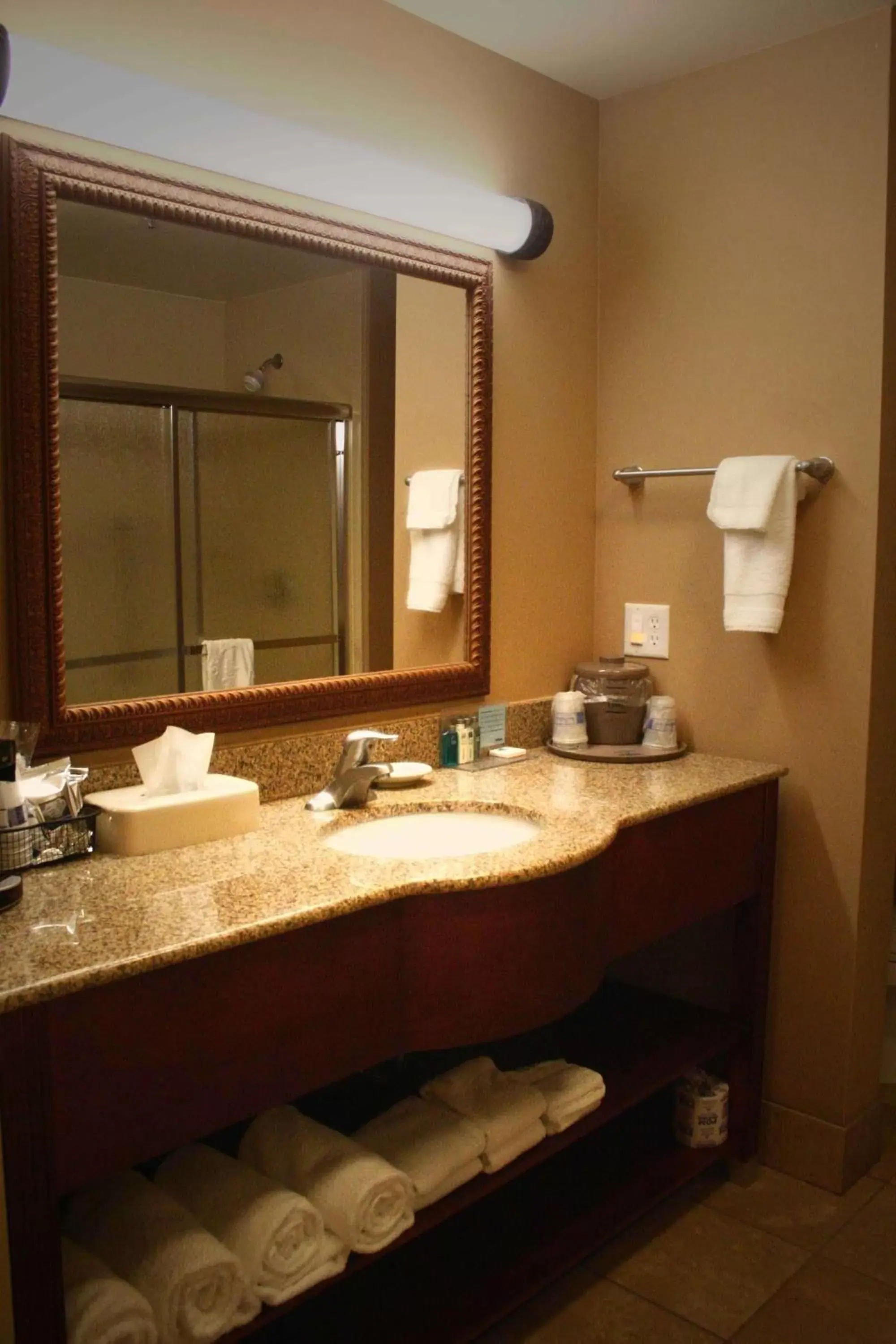 Bathroom in Hampton Inn Sierra Vista