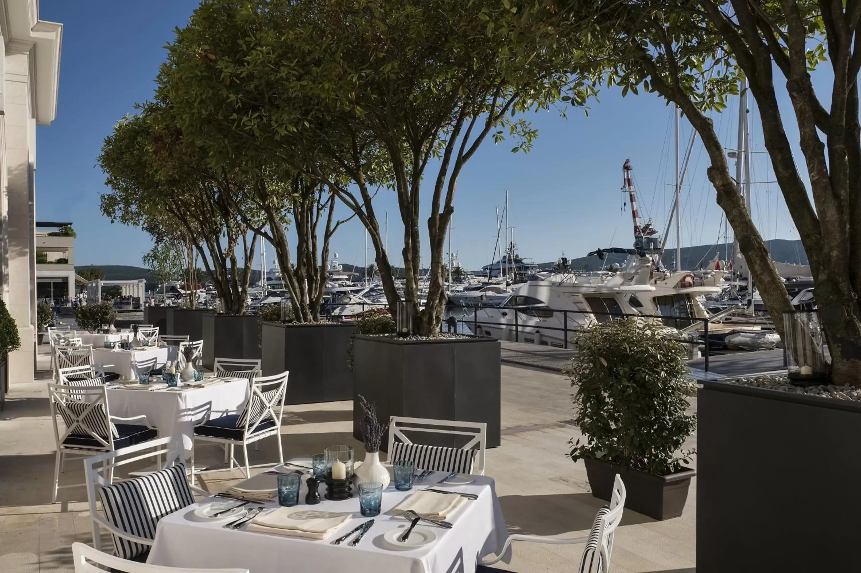 Restaurant/places to eat in Regent Porto Montenegro Restaurant/places to eat in Regent Porto Montenegro