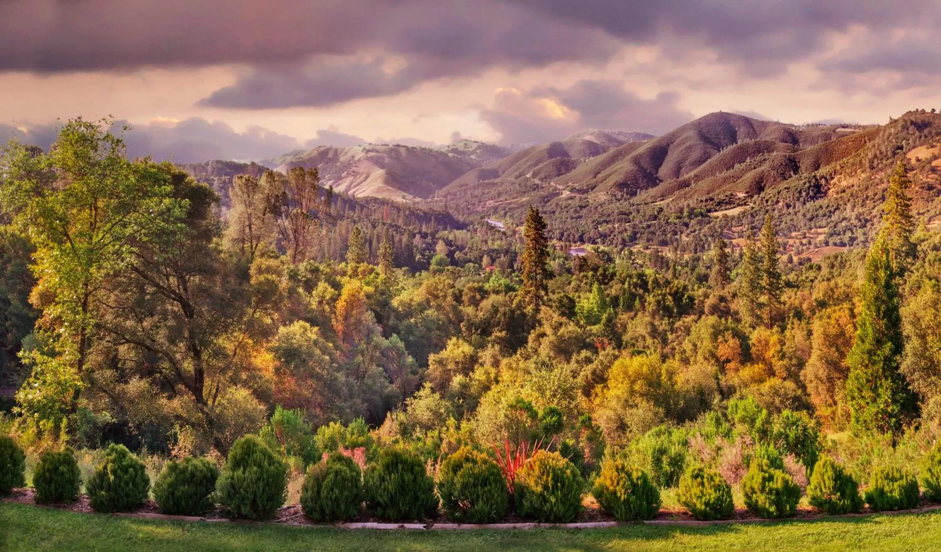 Day, Natural Landscape in Bella Vista Bed and Breakfast