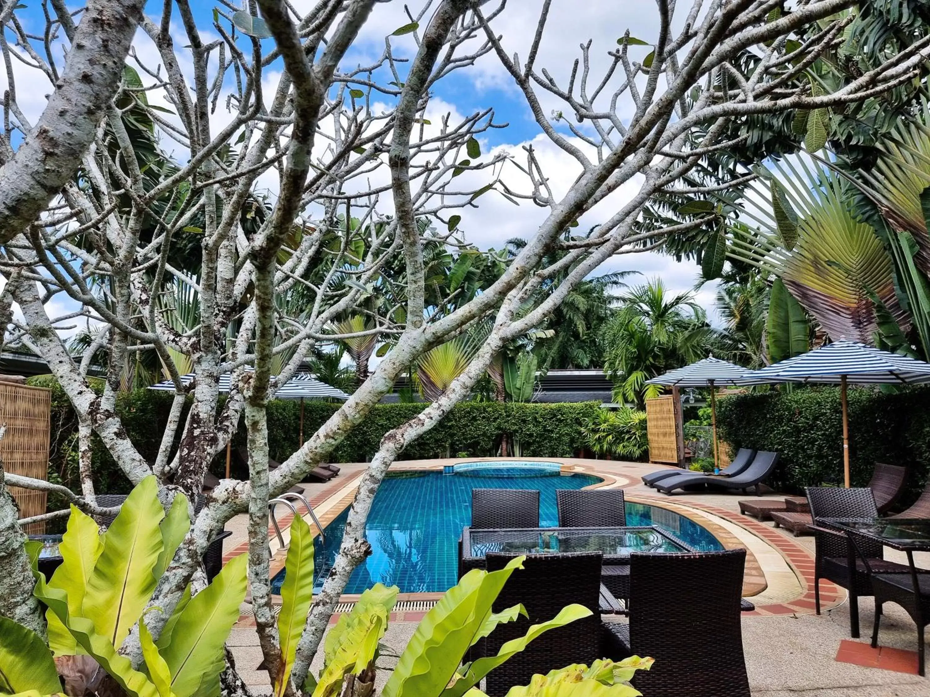 Swimming Pool in Phuvara Boutique Aonang