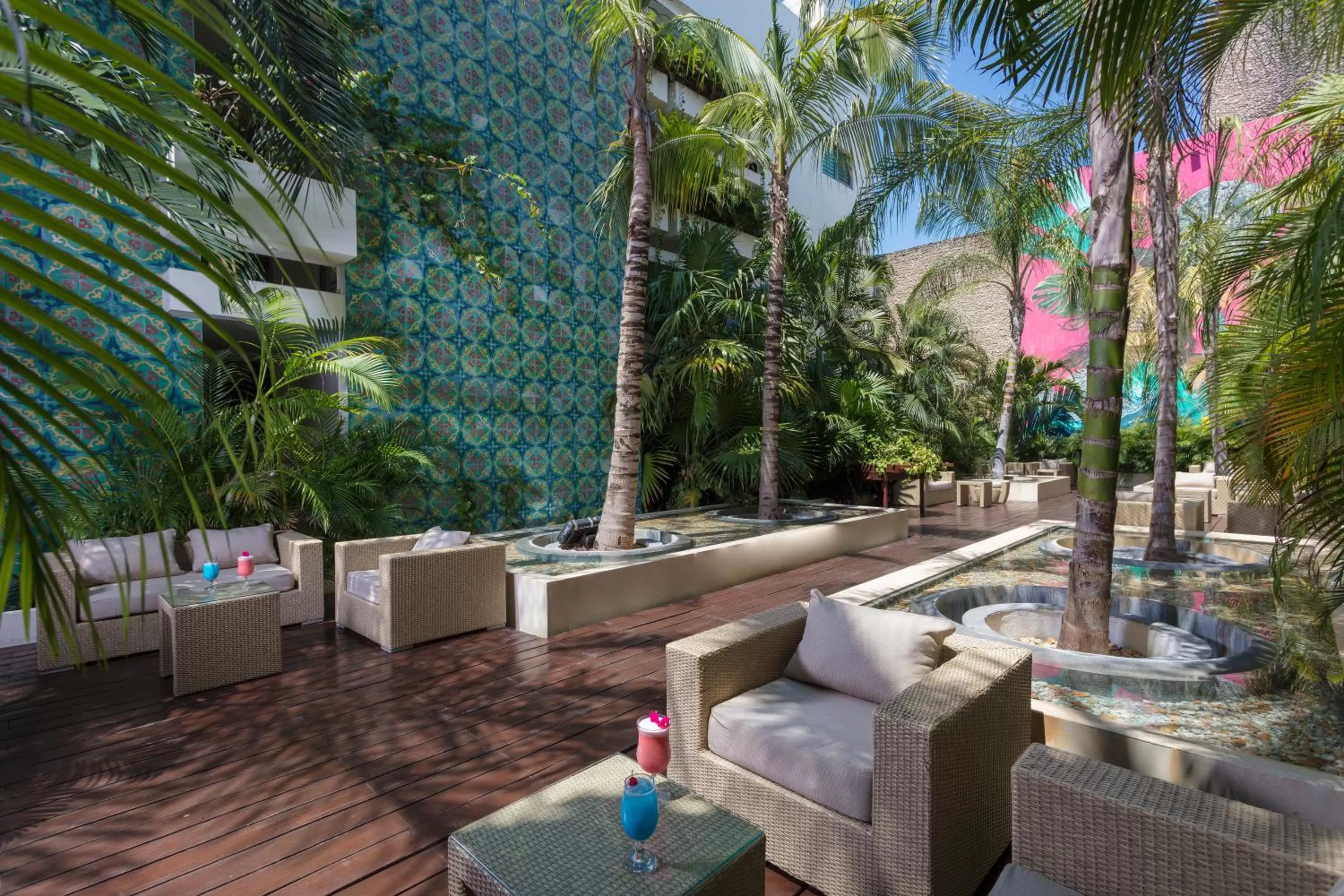 Garden in Hotel The Palm