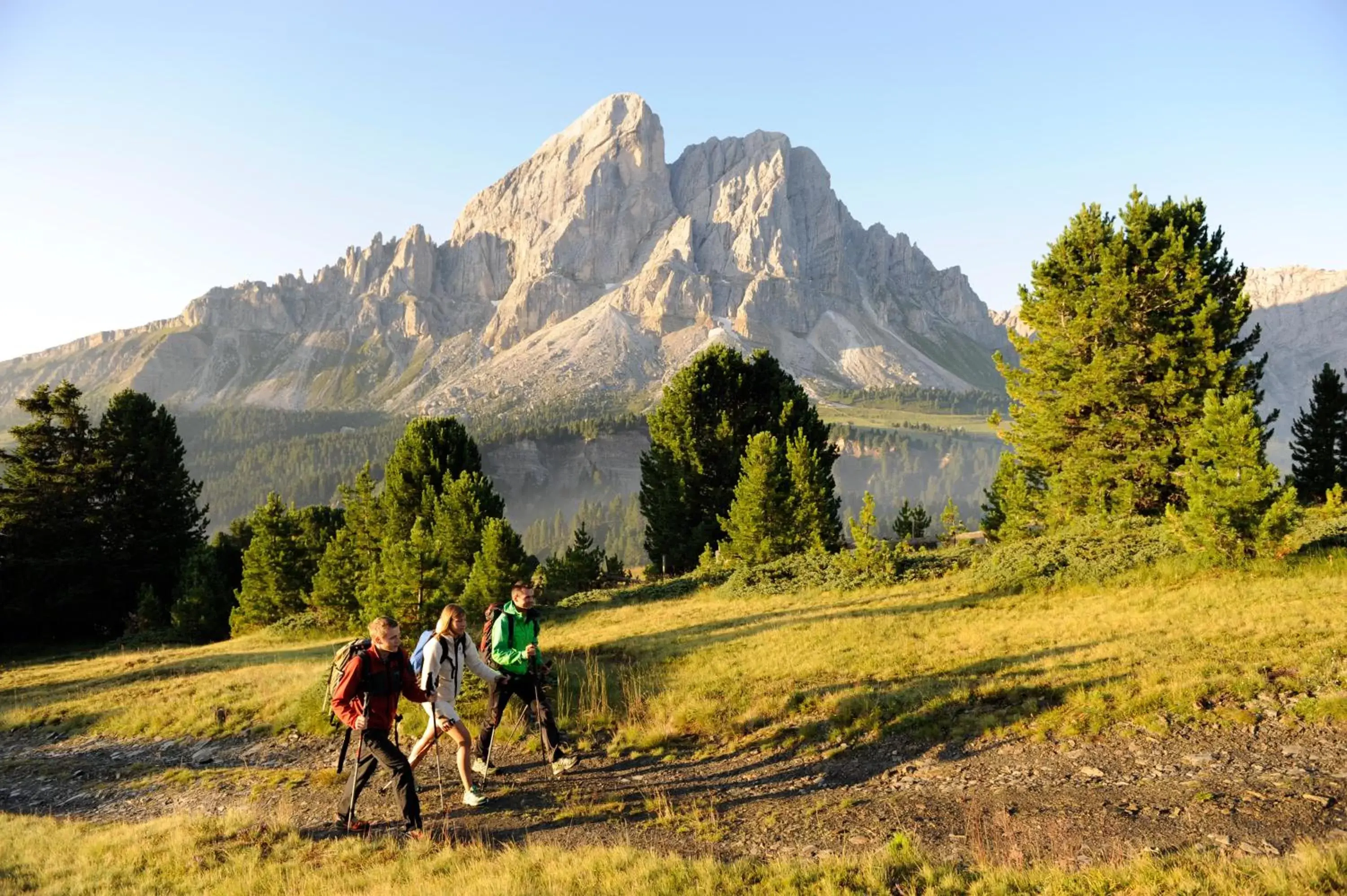 Natural landscape in Hotel ANDER