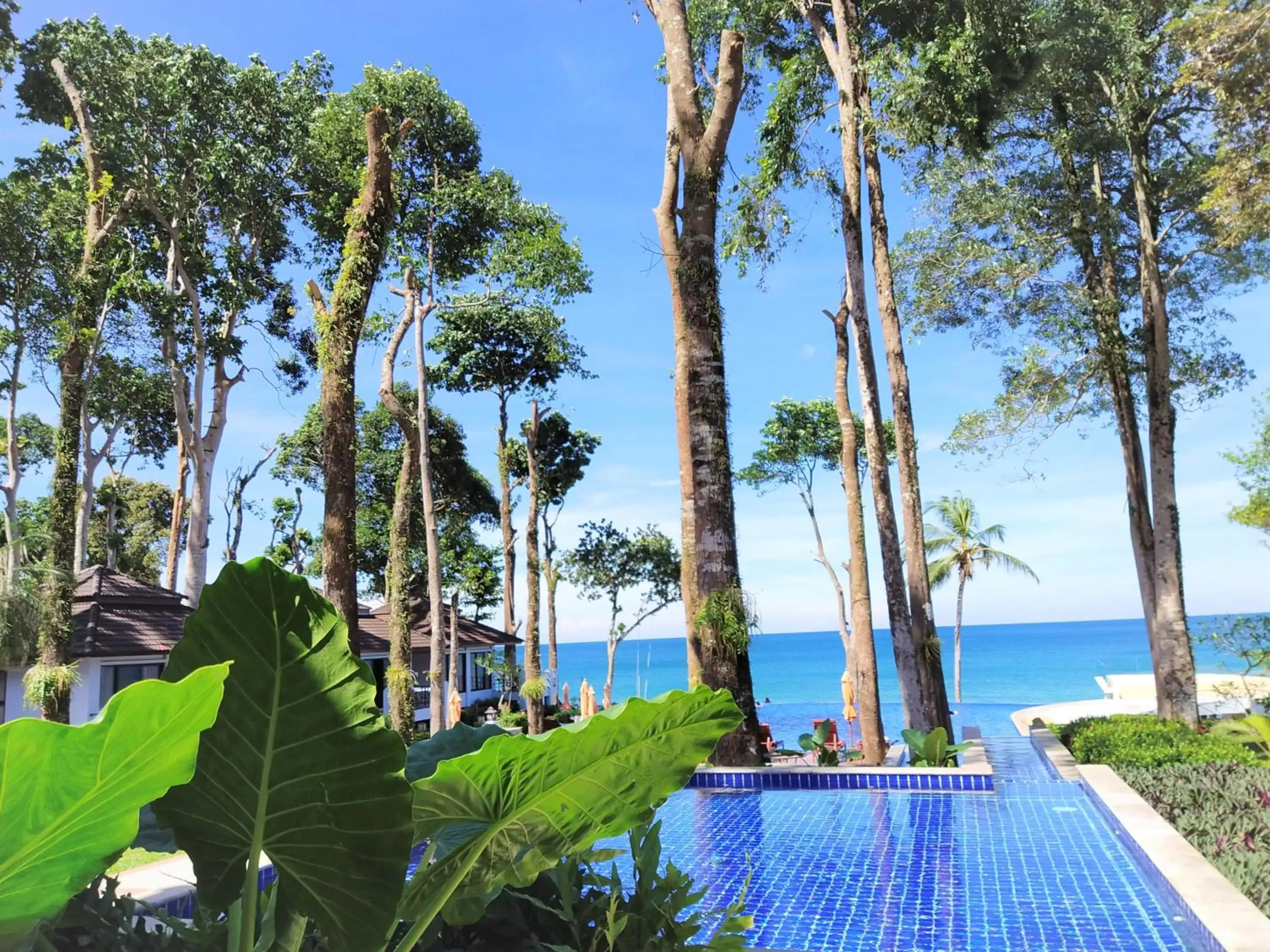 Natural landscape, Swimming Pool in Chang Buri Resort & Spa