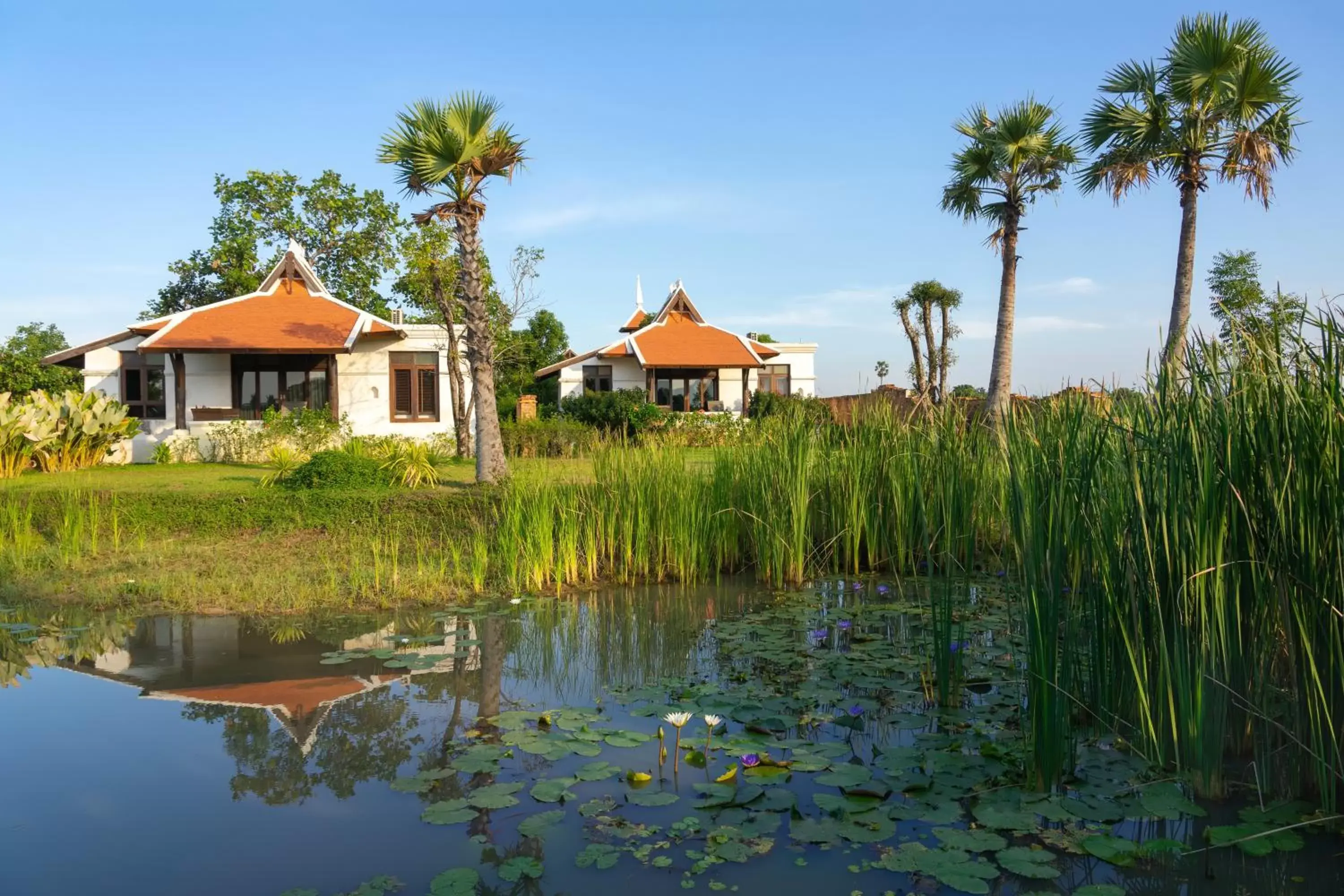 Property building in Sriwilai Sukhothai Property building in Sriwilai Sukhothai