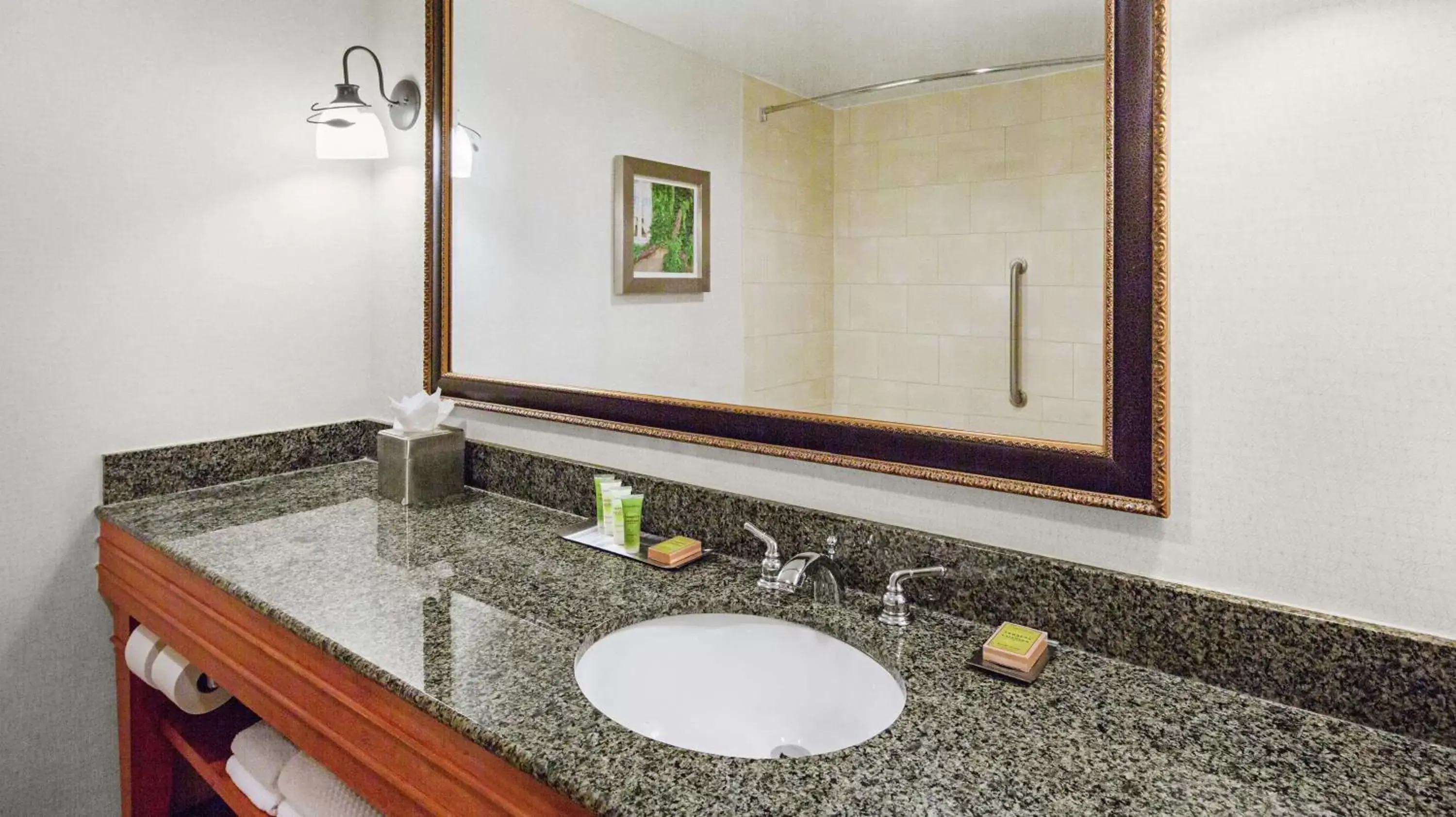Bathroom in DoubleTree by Hilton Raleigh Durham Airport at Research Triangle Park