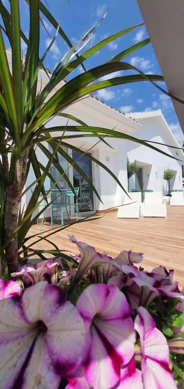 Garden in Sandra Rooms