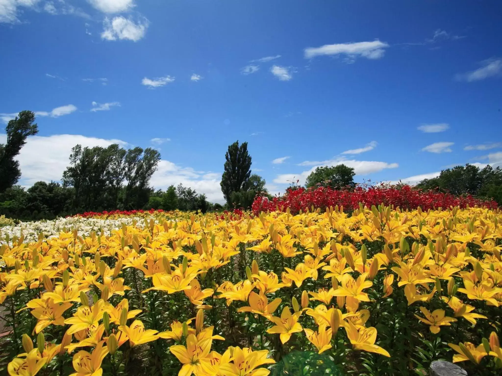 Nearby landmark in APA Hotel & Resort Sapporo