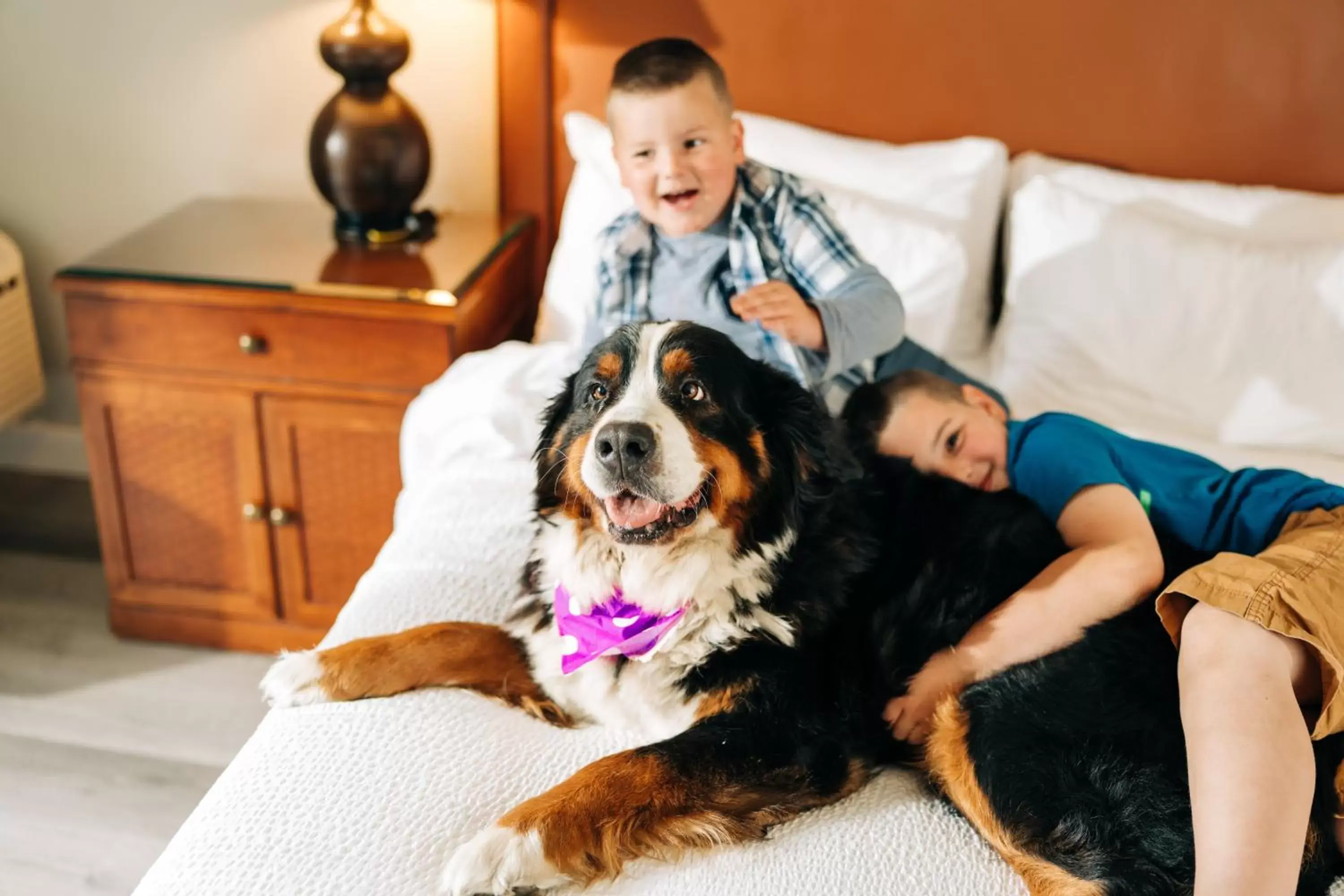 Pets in Coast Parksville Hotel