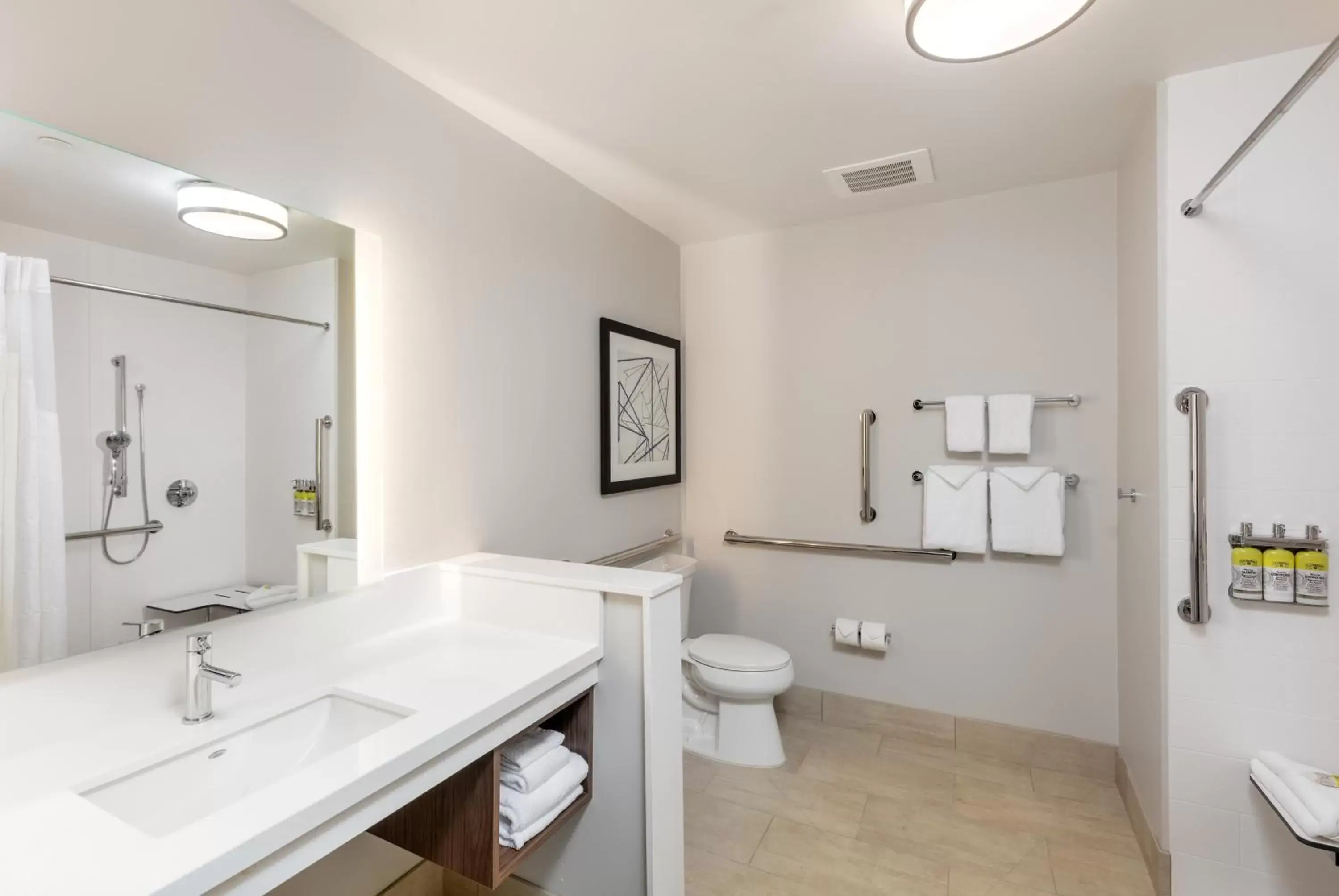 Bathroom in Holiday Inn Express & Suites - Moreno Valley - Riverside, an IHG Hotel