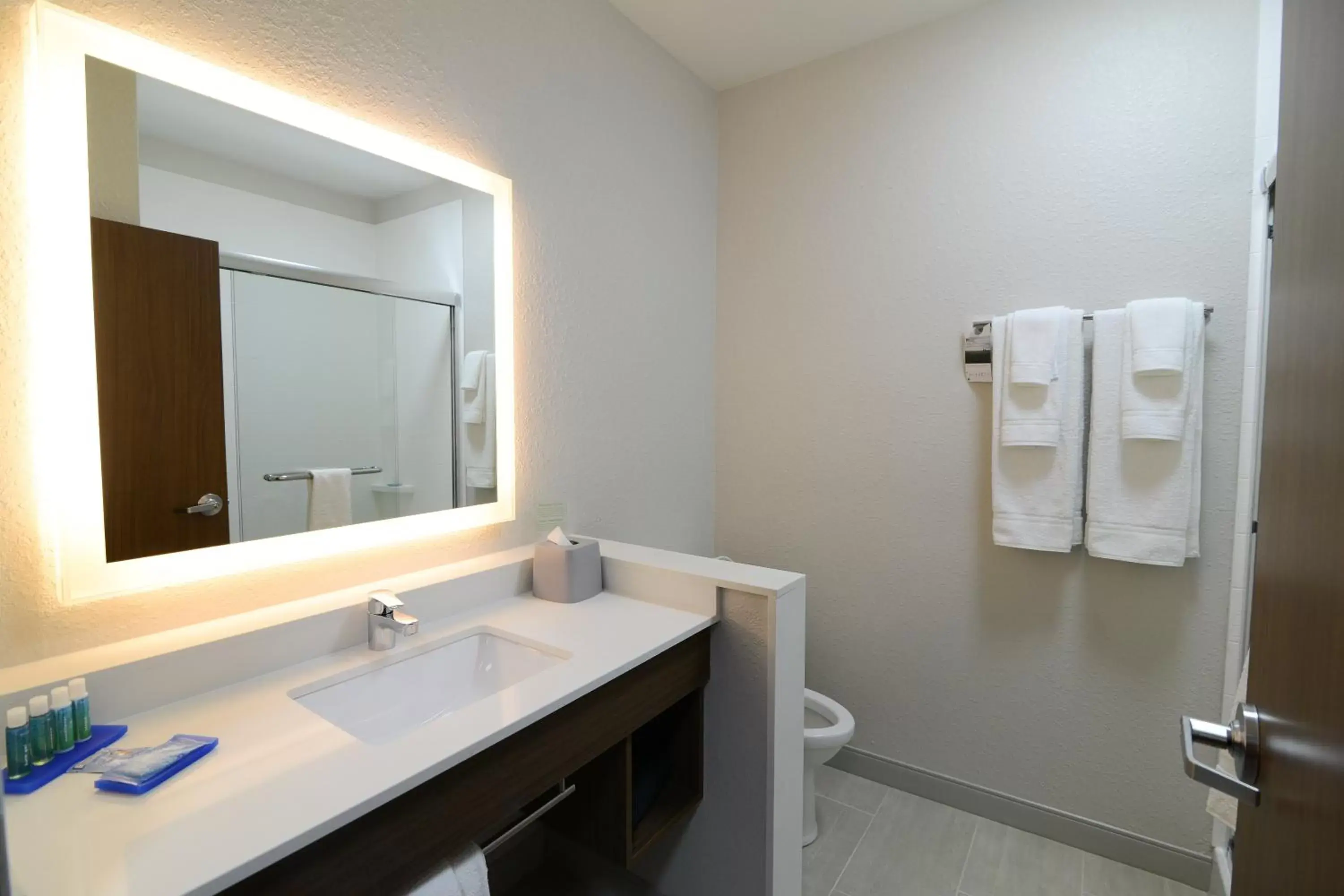 Bathroom in Holiday Inn Express & Suites Chicago North Shore - Niles, an IHG Hotel
