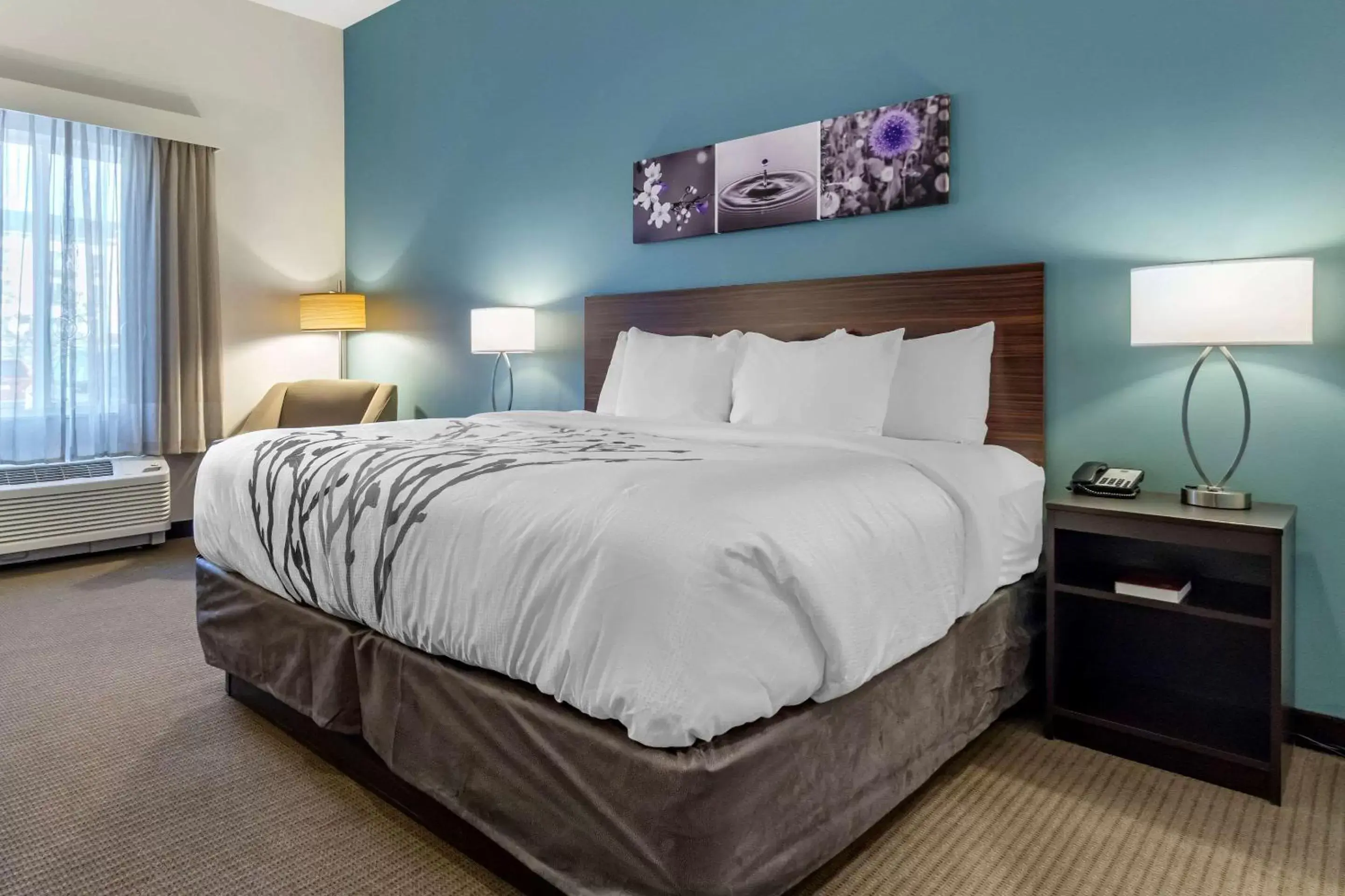Photo of the whole room, Bed in Sleep Inn & Suites Wenatchee-Leavenworth