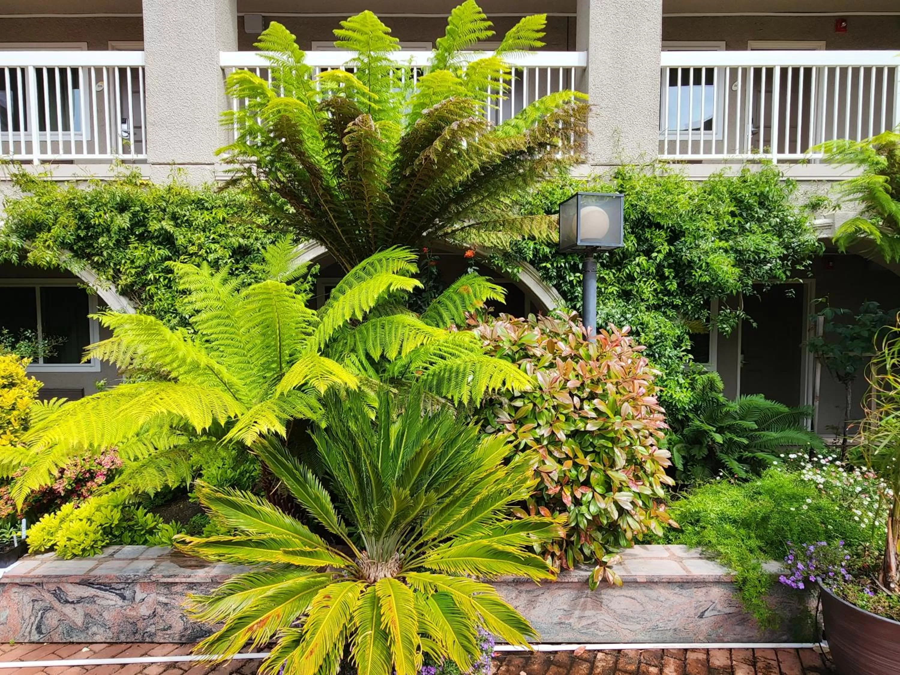 Garden in La Quinta by Wyndham San Francisco Airport West Millbrae FREE AIRPORT SHUTTLE