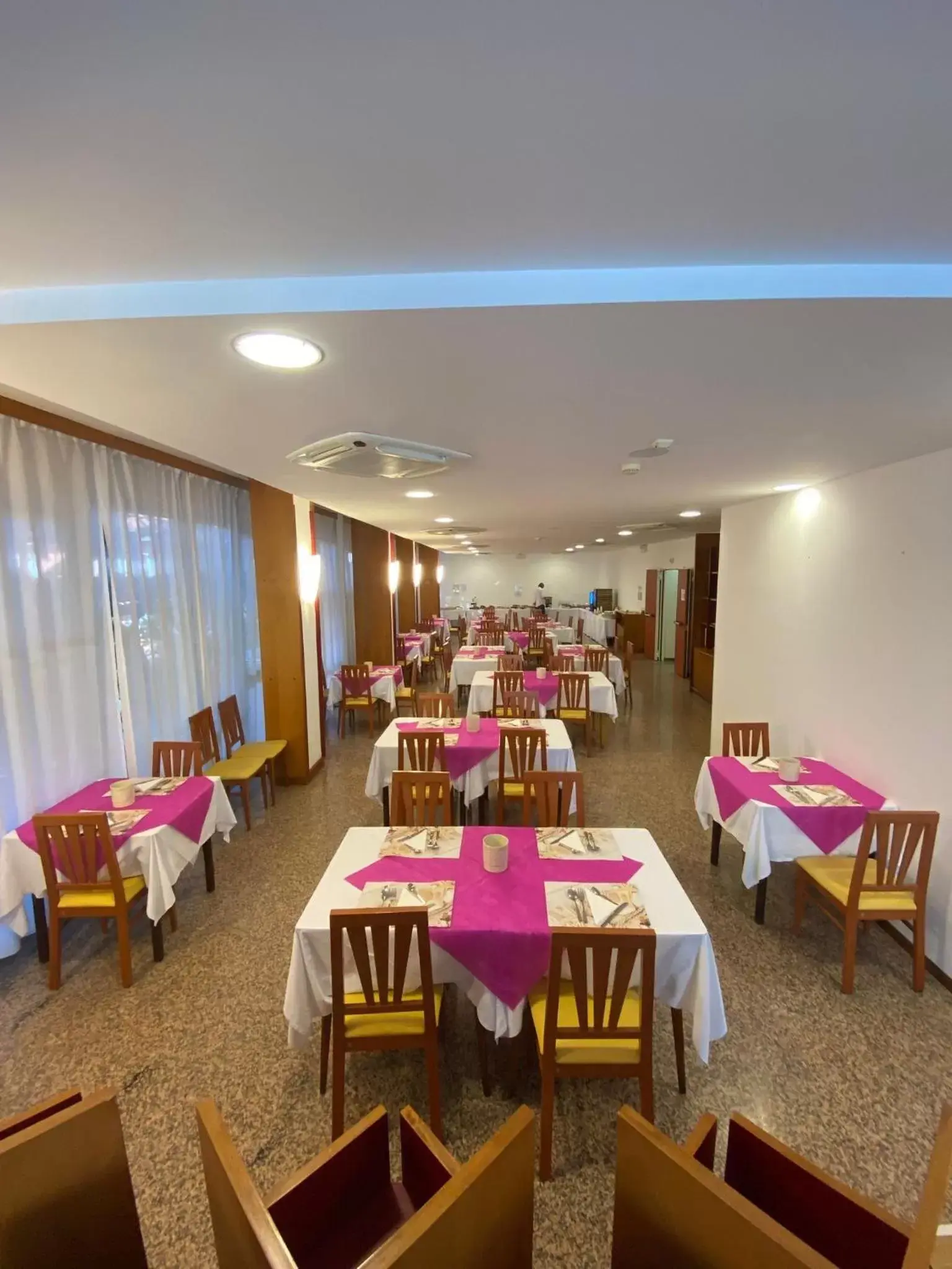 Restaurant/Places to Eat in Hotel Modenese