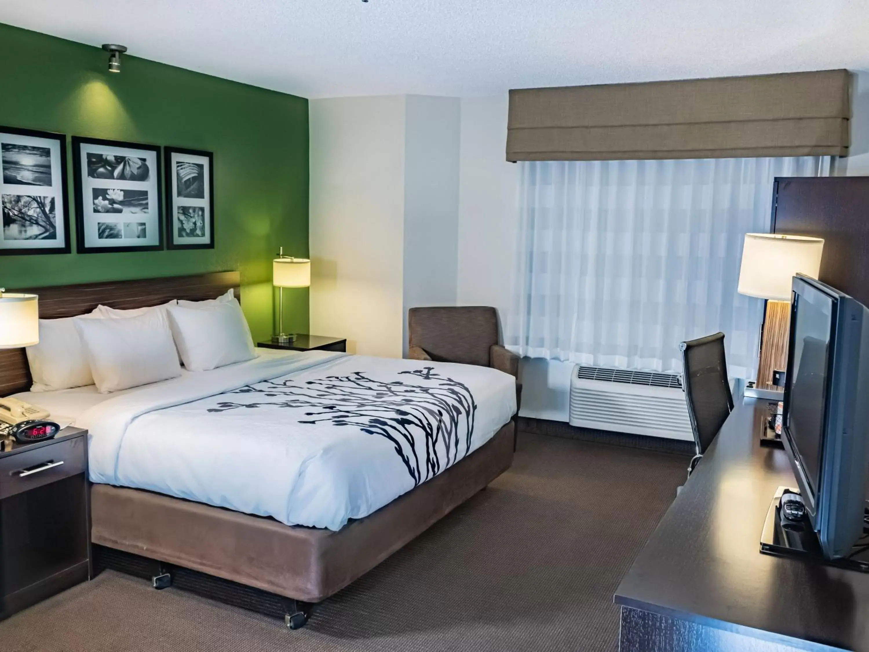 King Room - Non-Smoking in Sleep Inn Pasco Tri -Cities King Room - Non-Smoking in Sleep Inn Pasco Tri -Cities